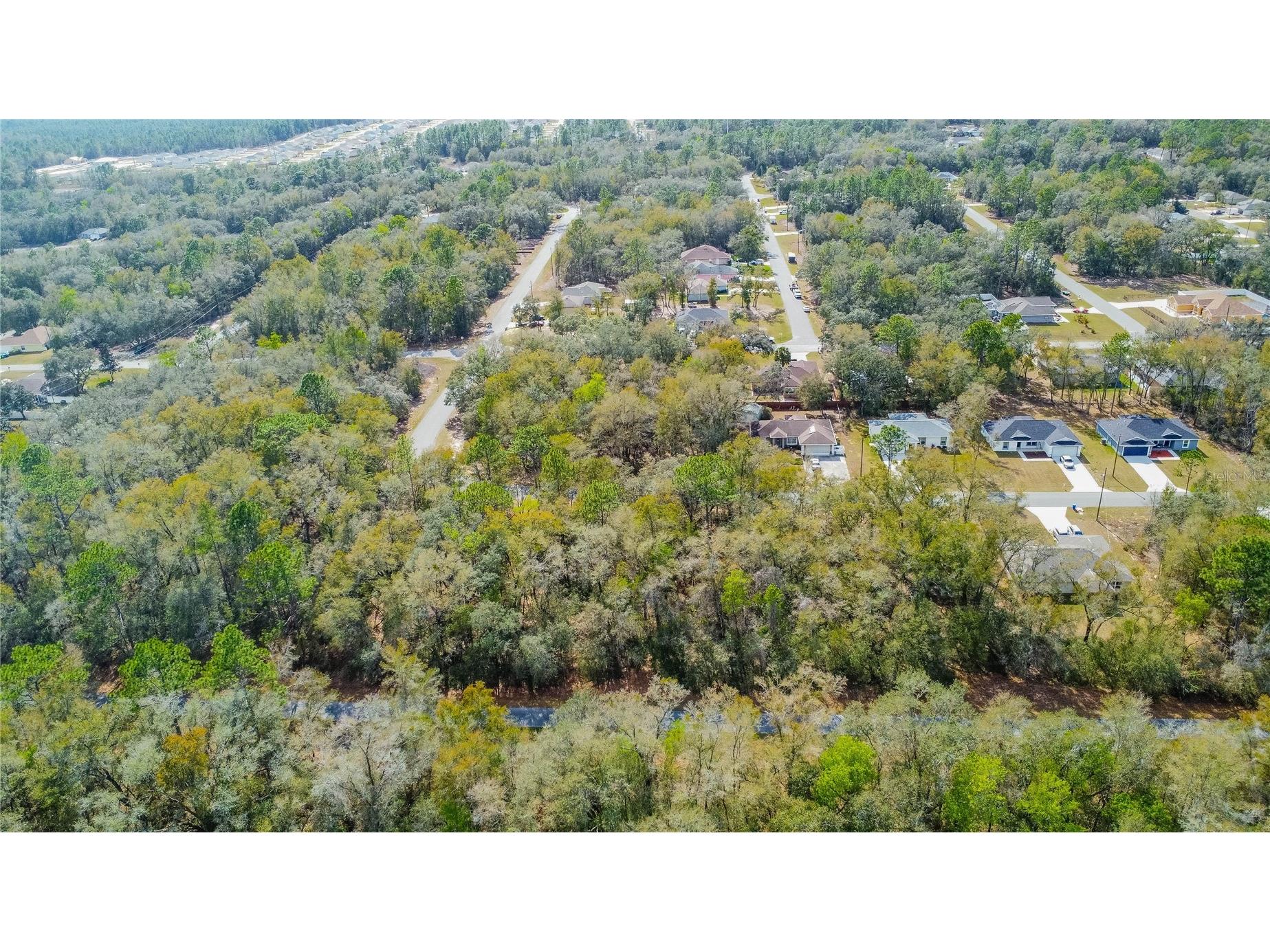 8743 N Sandree Drive Citrus Springs FL 34434 W7883997 image13