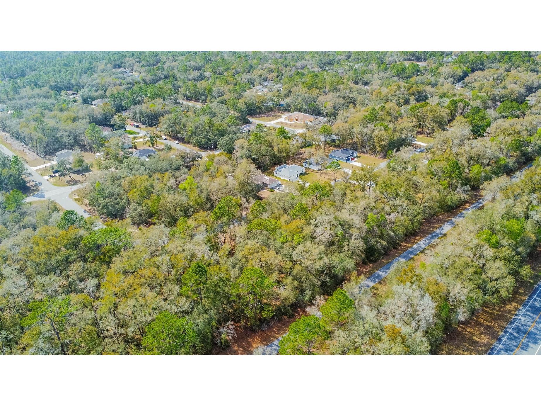 8743 N Sandree Drive Citrus Springs FL 34434 W7883997 image14