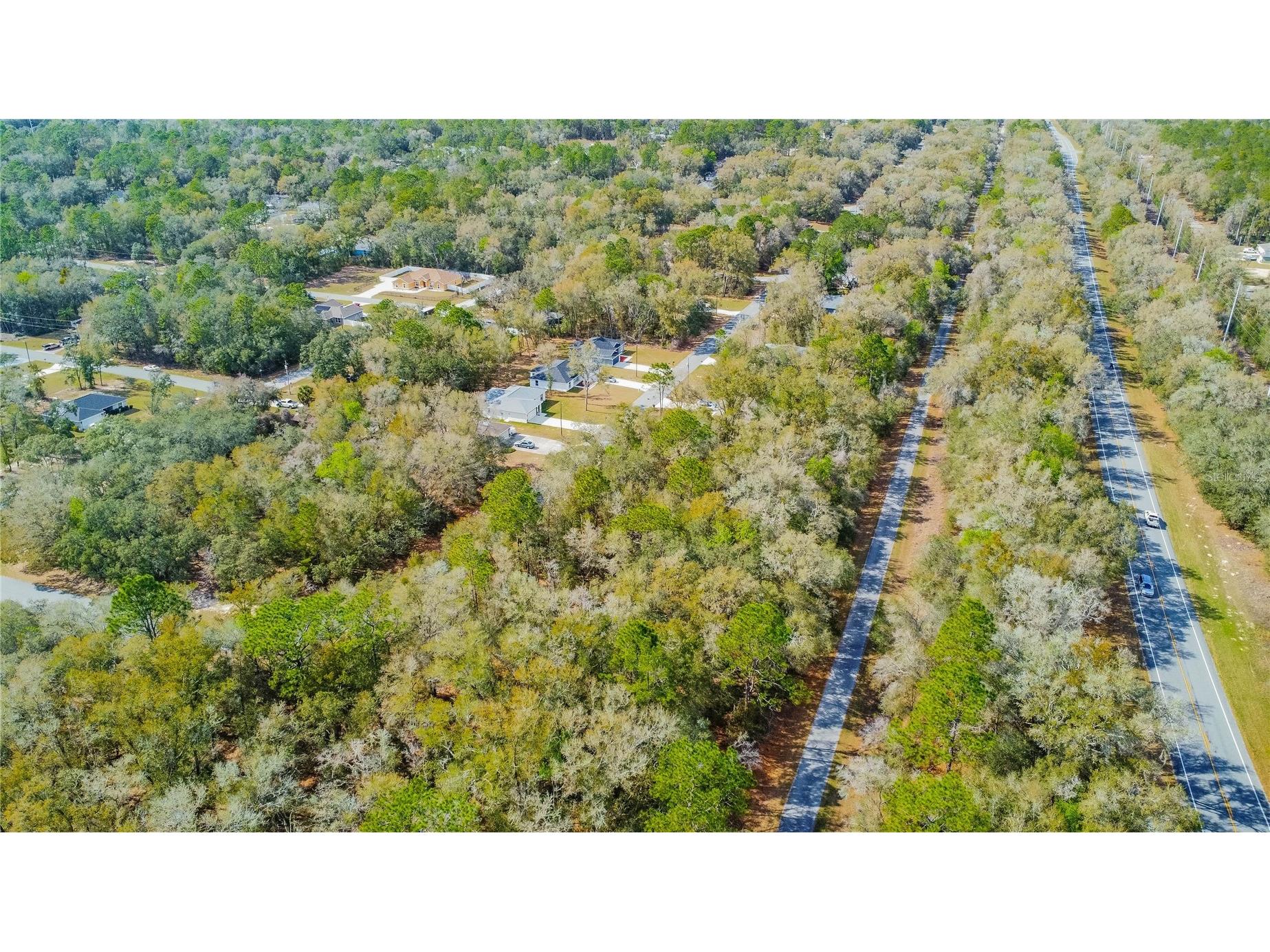 8743 N Sandree Drive Citrus Springs FL 34434 W7883997 image15