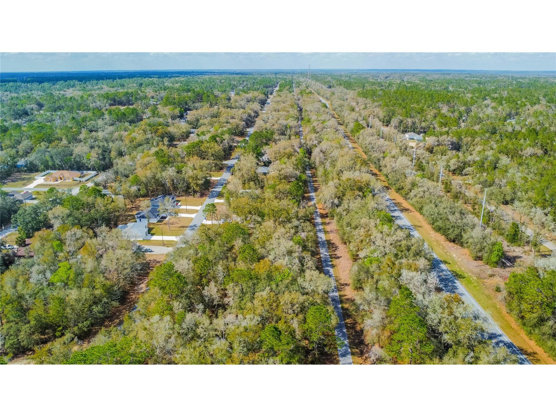 8743 N Sandree Drive Citrus Springs FL 34434 W7883997 image16