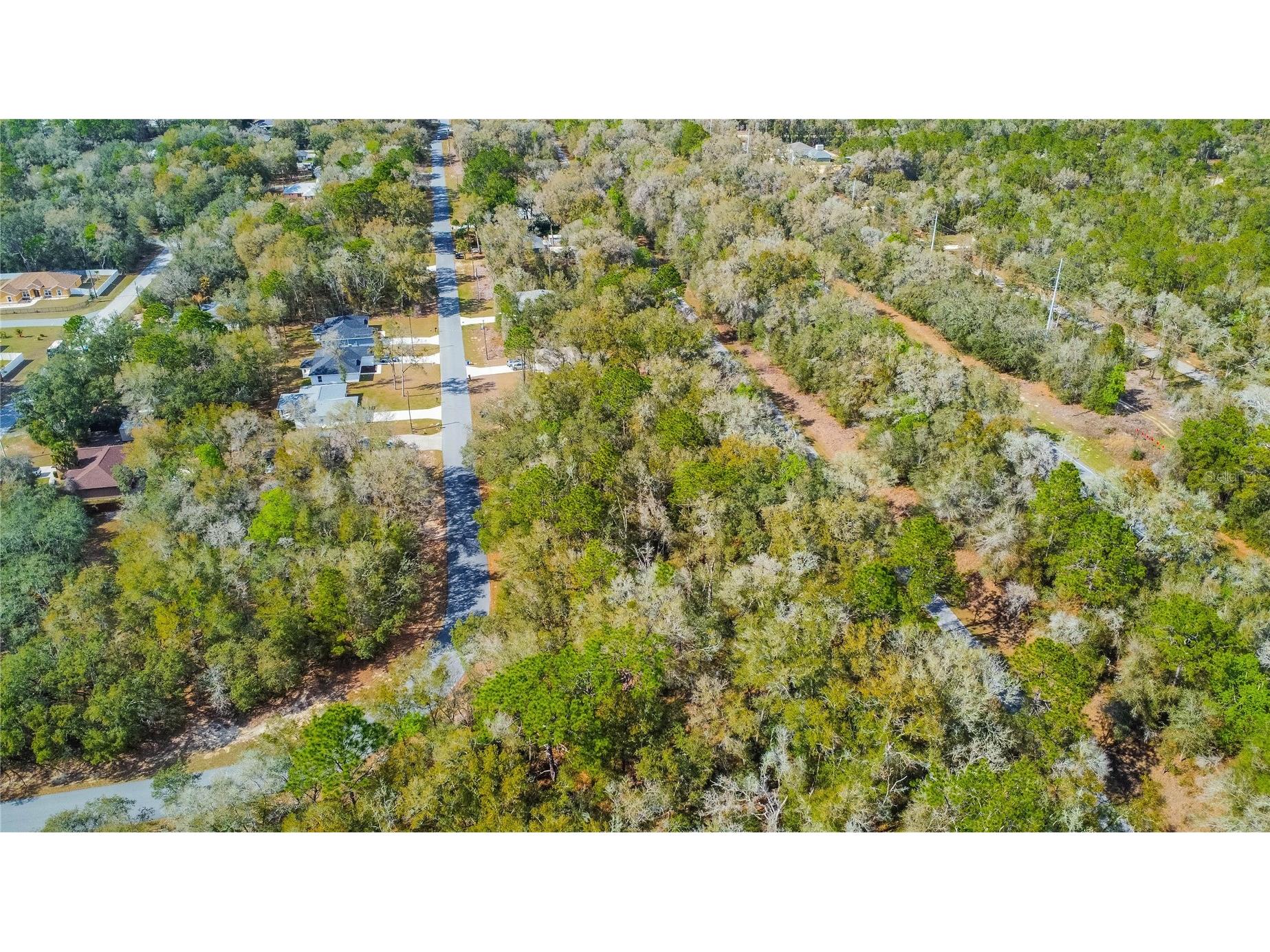 8743 N Sandree Drive Citrus Springs FL 34434 W7883997 image17