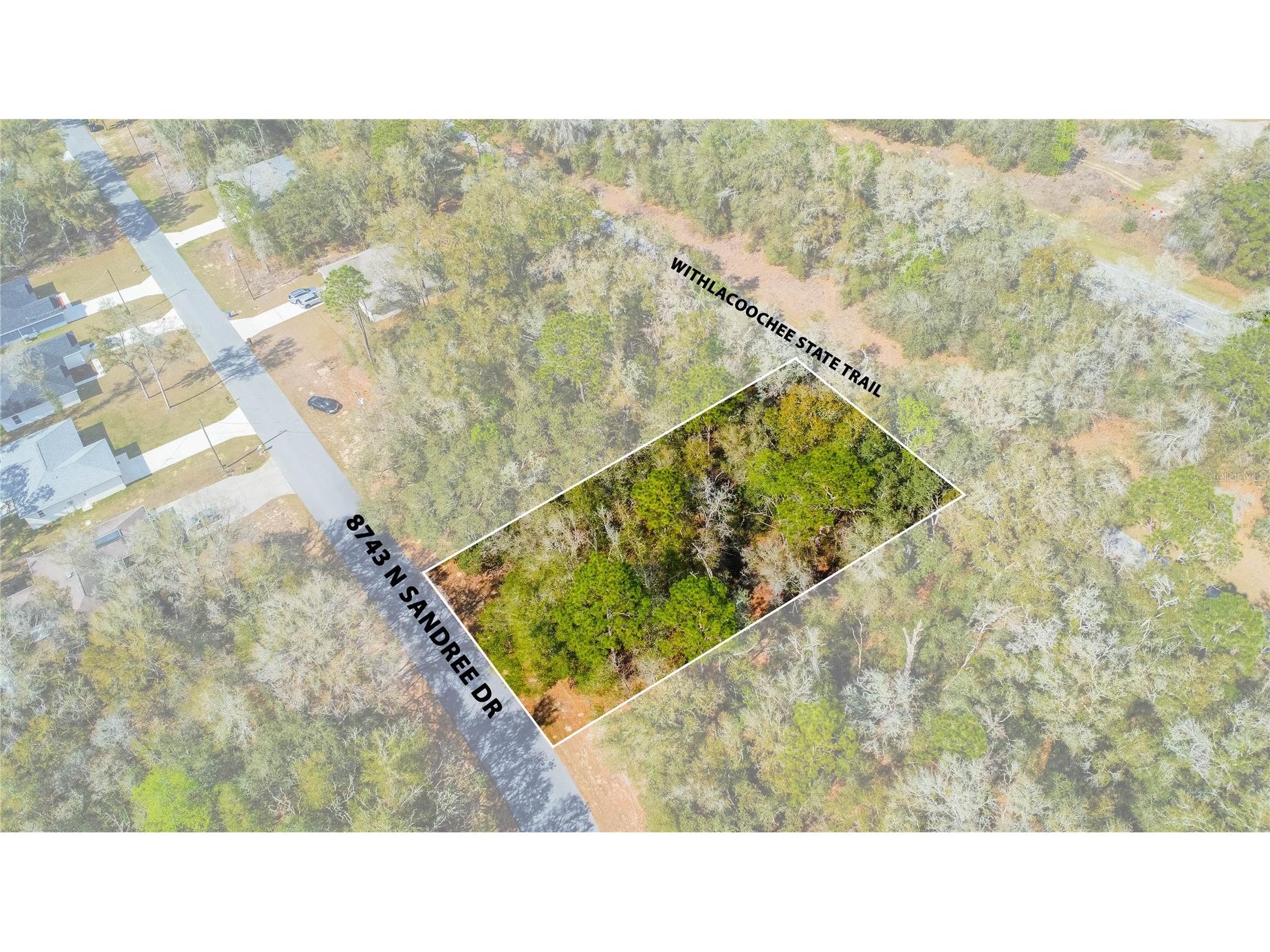 8743 N Sandree Drive Citrus Springs FL 34434 W7883997 image18