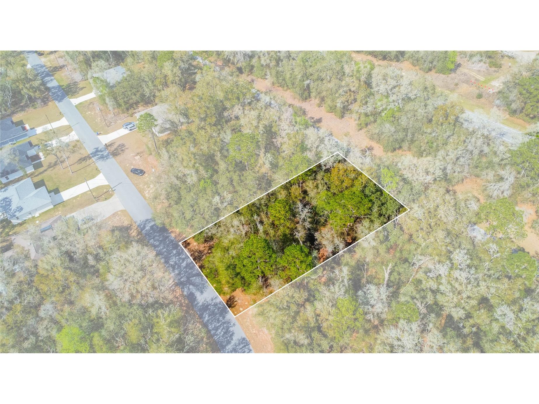 8743 N Sandree Drive Citrus Springs FL 34434 W7883997 image19