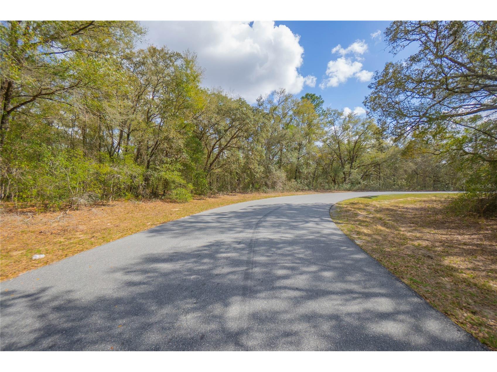 8743 N Sandree Drive Citrus Springs FL 34434 W7883997 image2