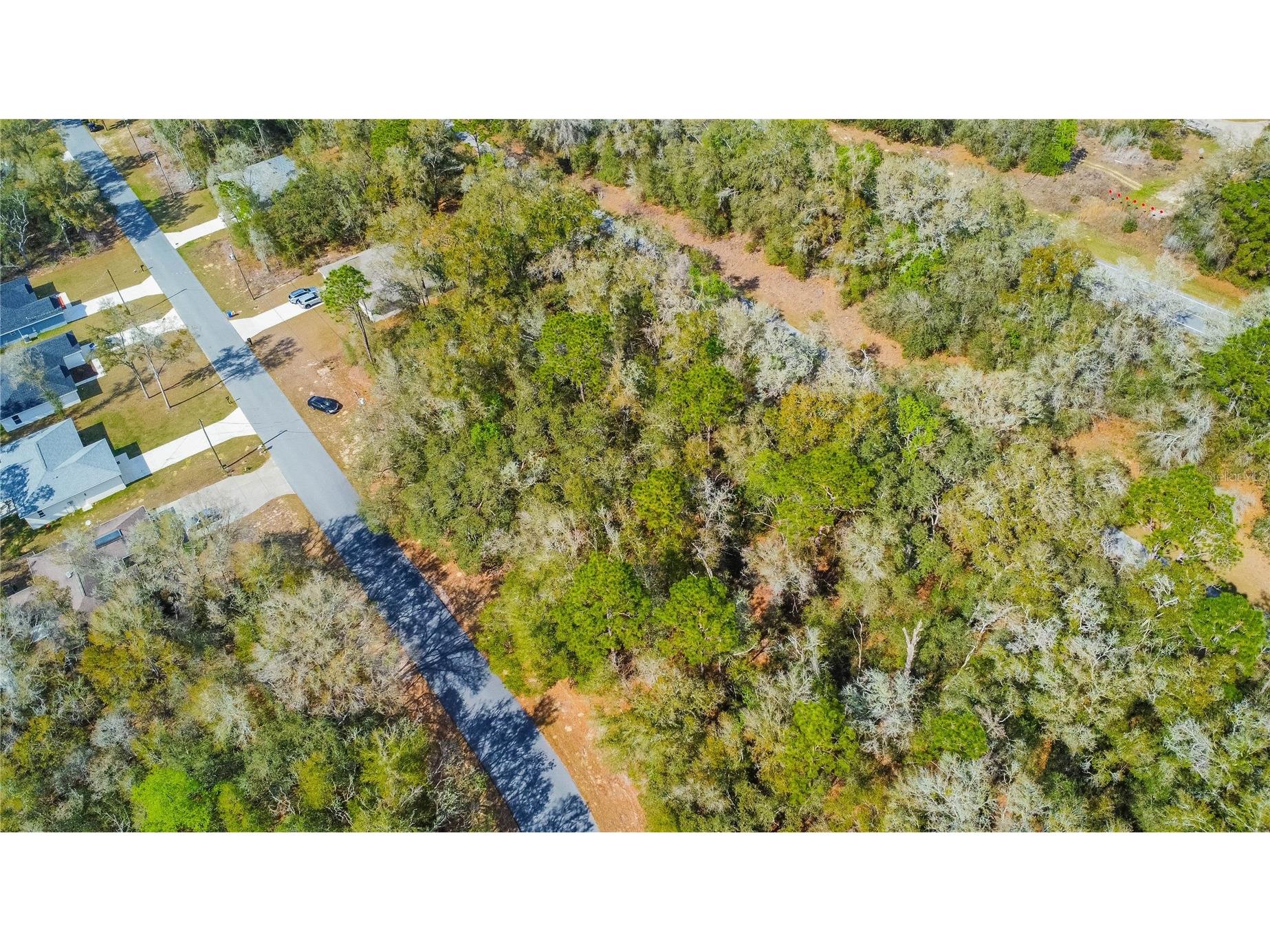 8743 N Sandree Drive Citrus Springs FL 34434 W7883997 image20