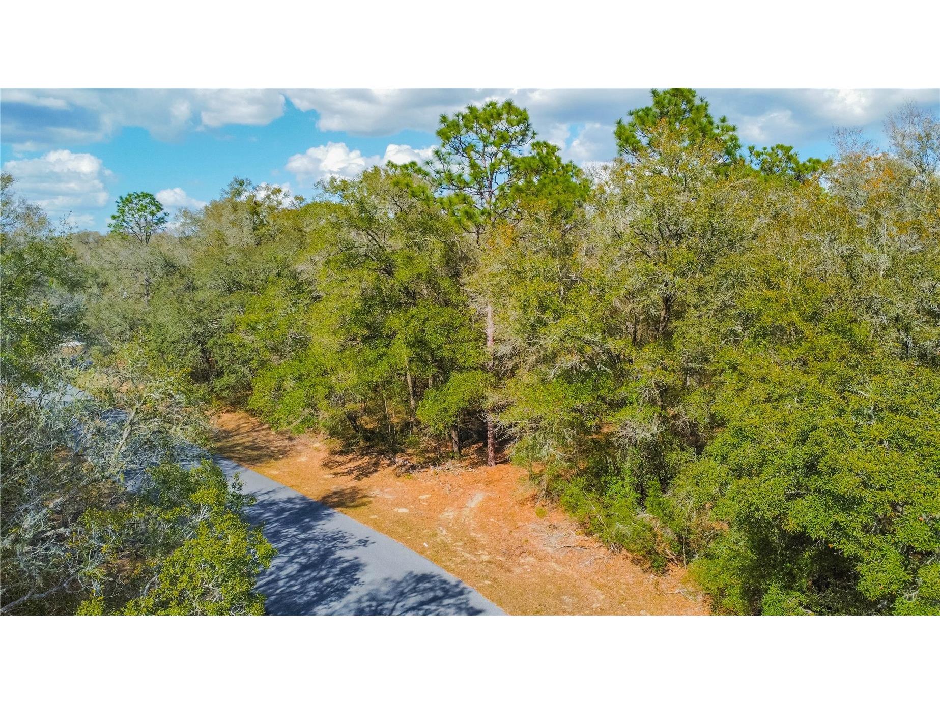 8743 N Sandree Drive Citrus Springs FL 34434 W7883997 image3