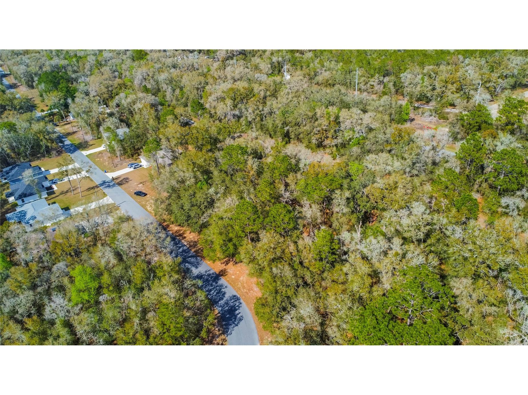 8743 N Sandree Drive Citrus Springs FL 34434 W7883997 image4