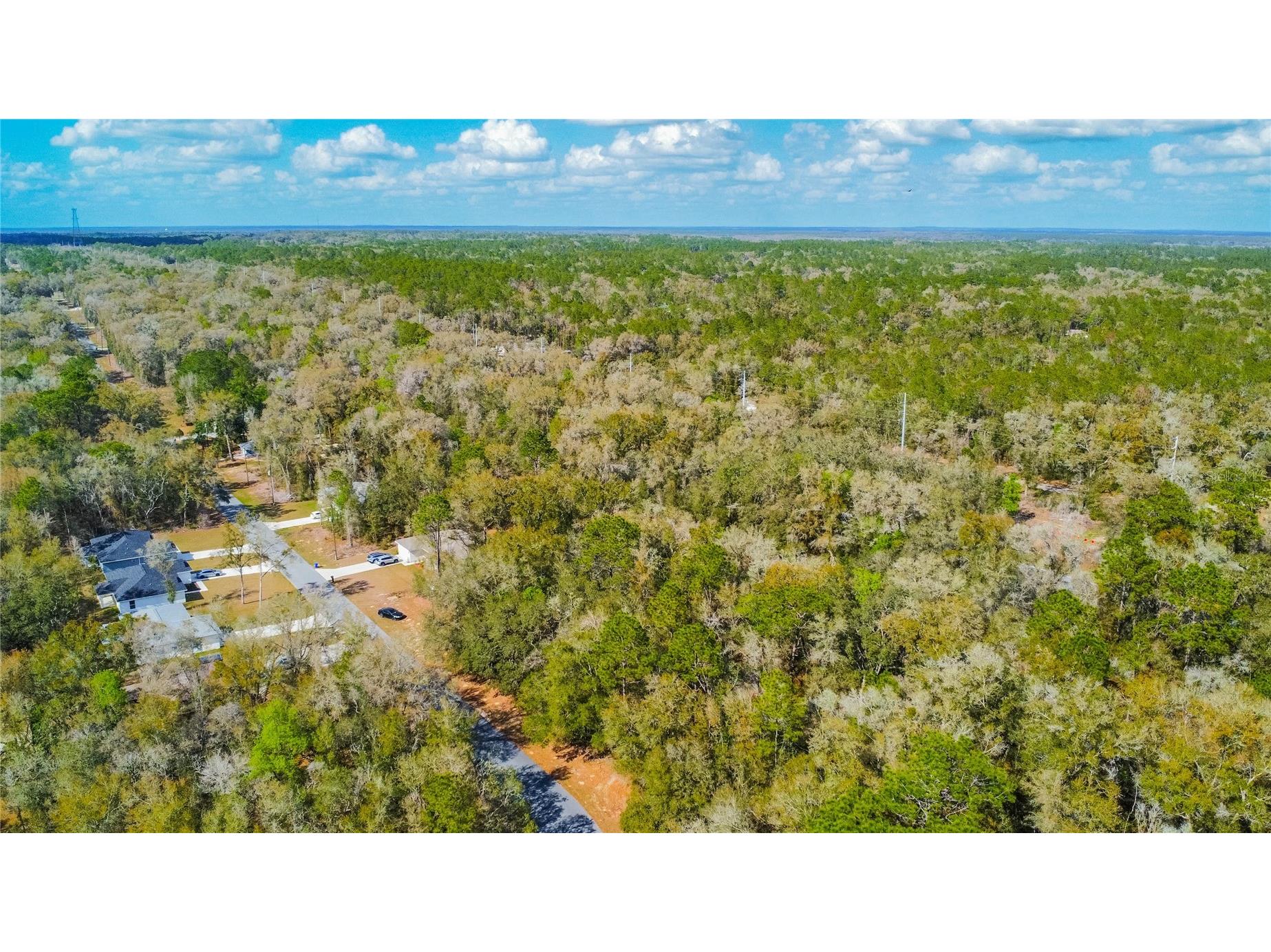 8743 N Sandree Drive Citrus Springs FL 34434 W7883997 image5