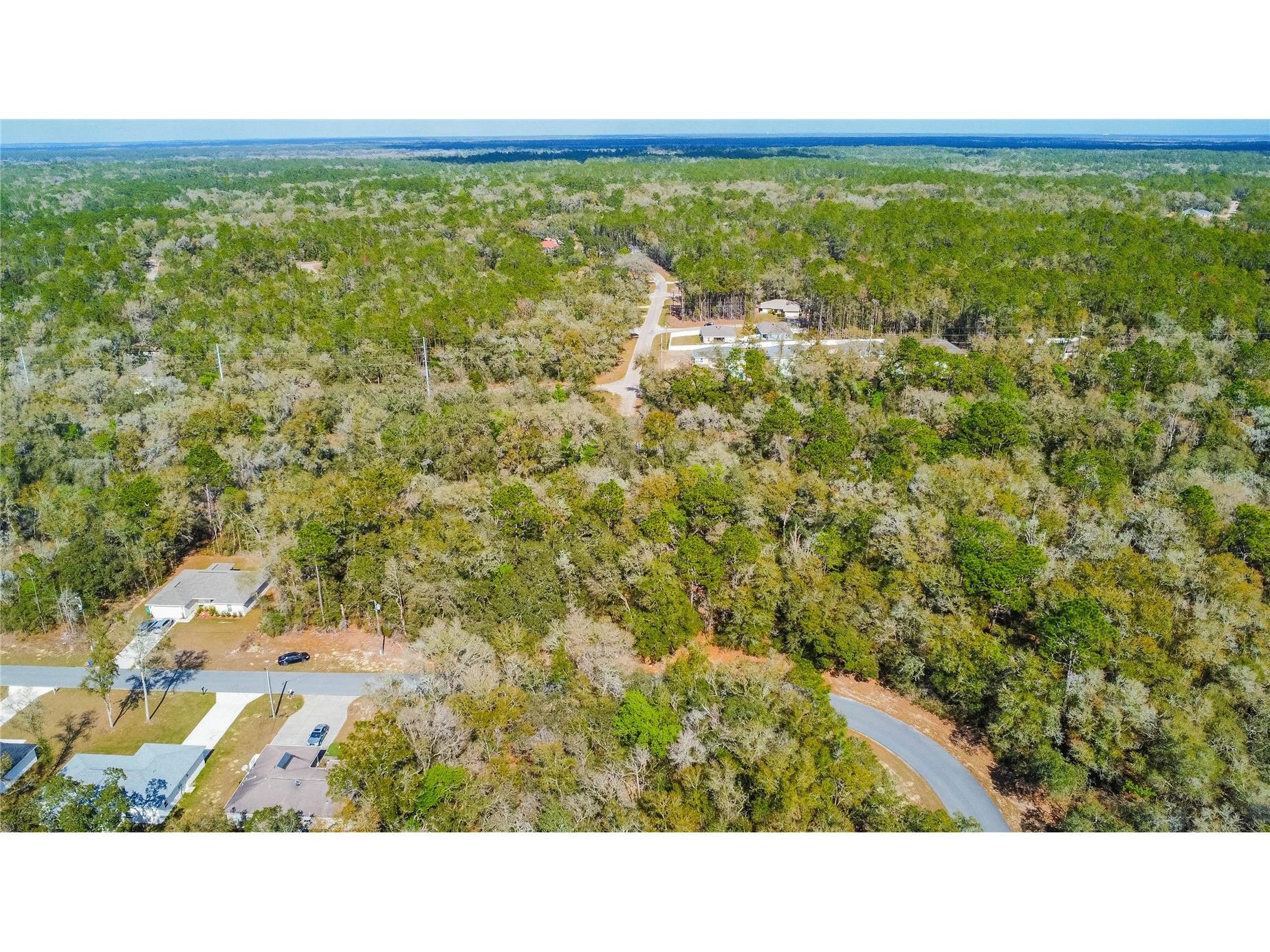 8743 N Sandree Drive Citrus Springs FL 34434 W7883997 image6