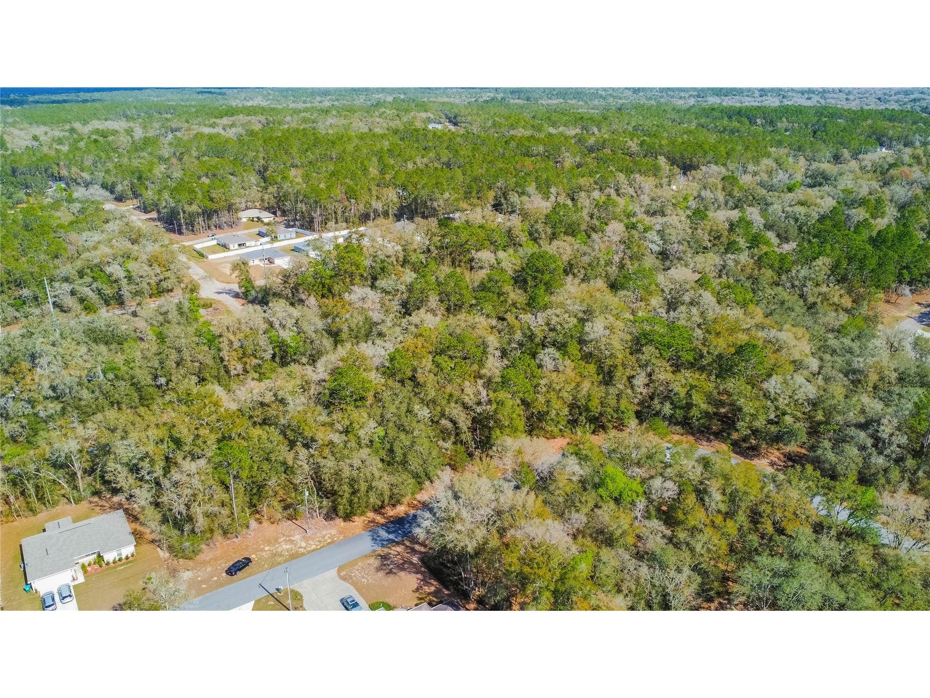 8743 N Sandree Drive Citrus Springs FL 34434 W7883997 image7