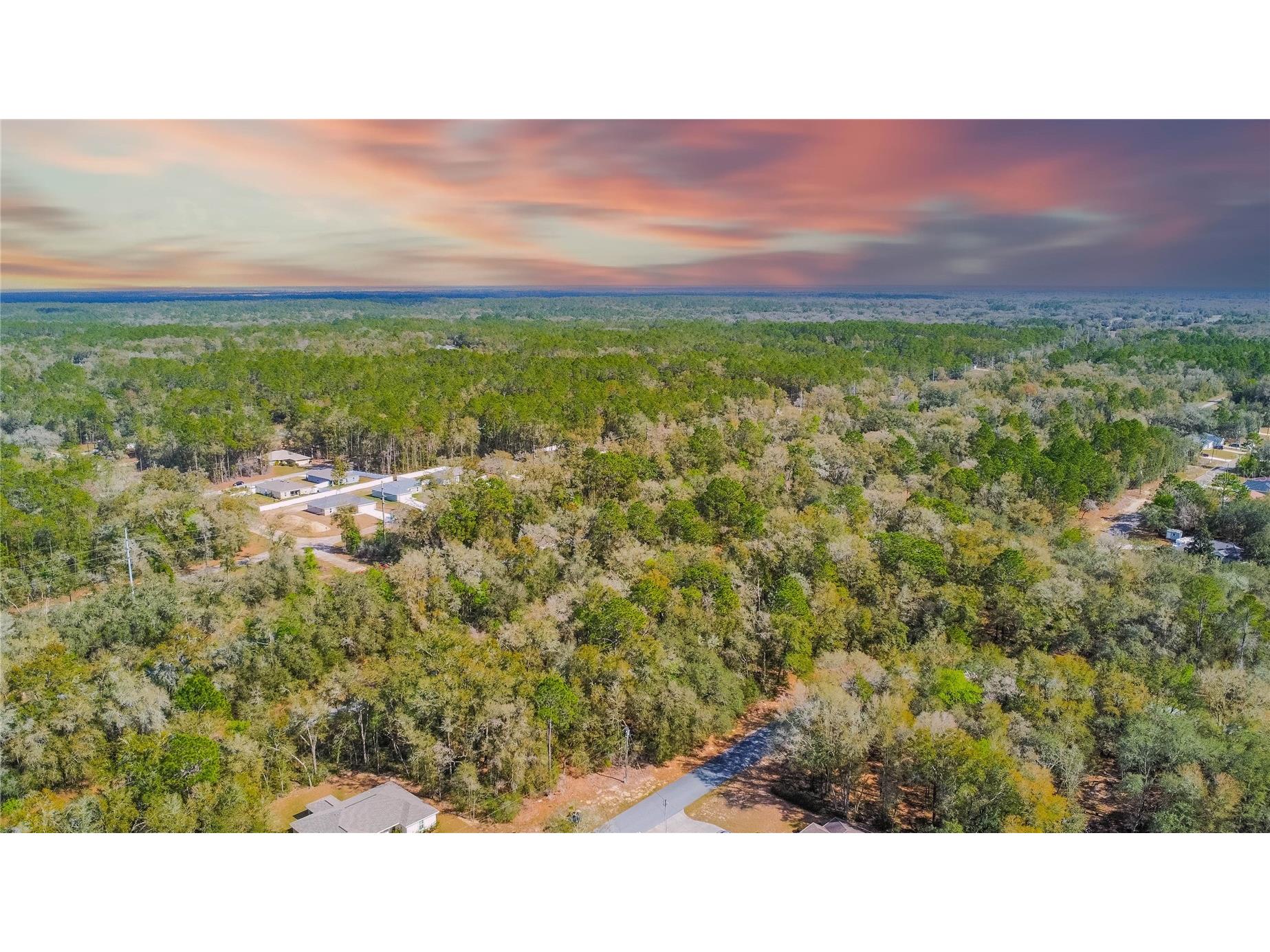 8743 N Sandree Drive Citrus Springs FL 34434 W7883997 image8