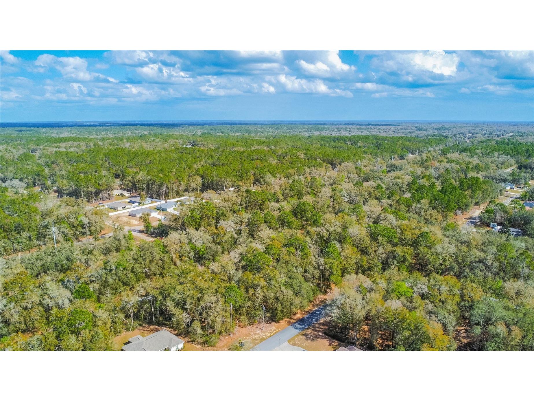 8743 N Sandree Drive Citrus Springs FL 34434 W7883997 image9