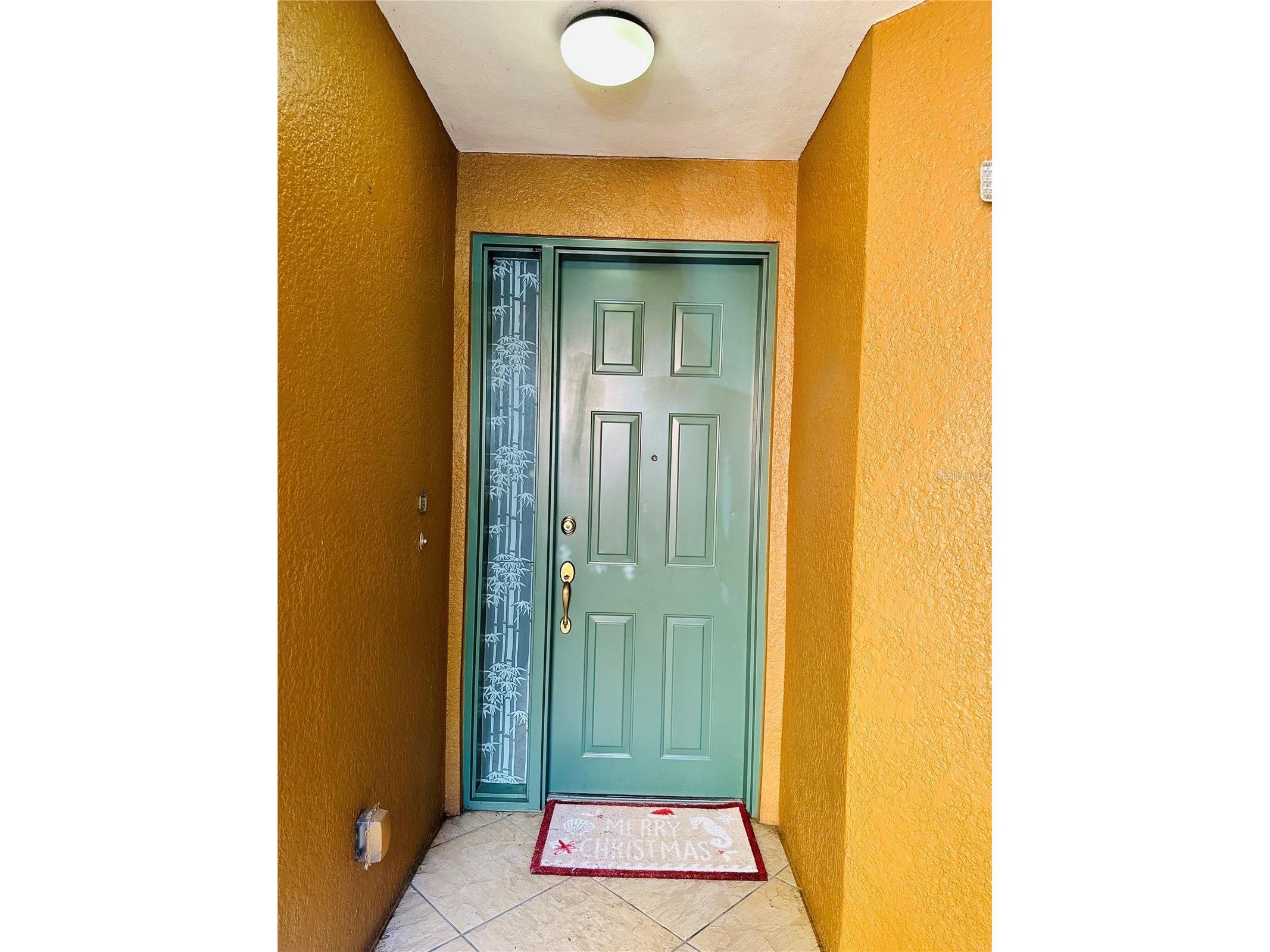 8743 The Esplanade #9 Orlando FL 32836 O6390004 image2