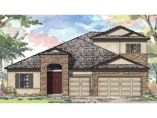 8744 Emeraldwood Way Land O Lakes FL 34637 T3329648 image1