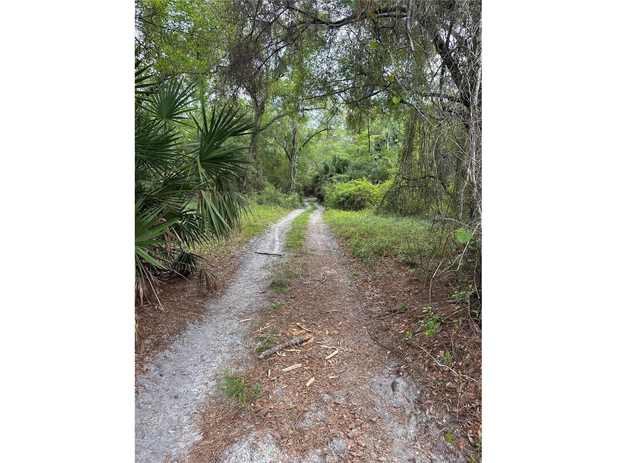 8744 W Oak Street Crystal River FL 34428 TB8509340 image11