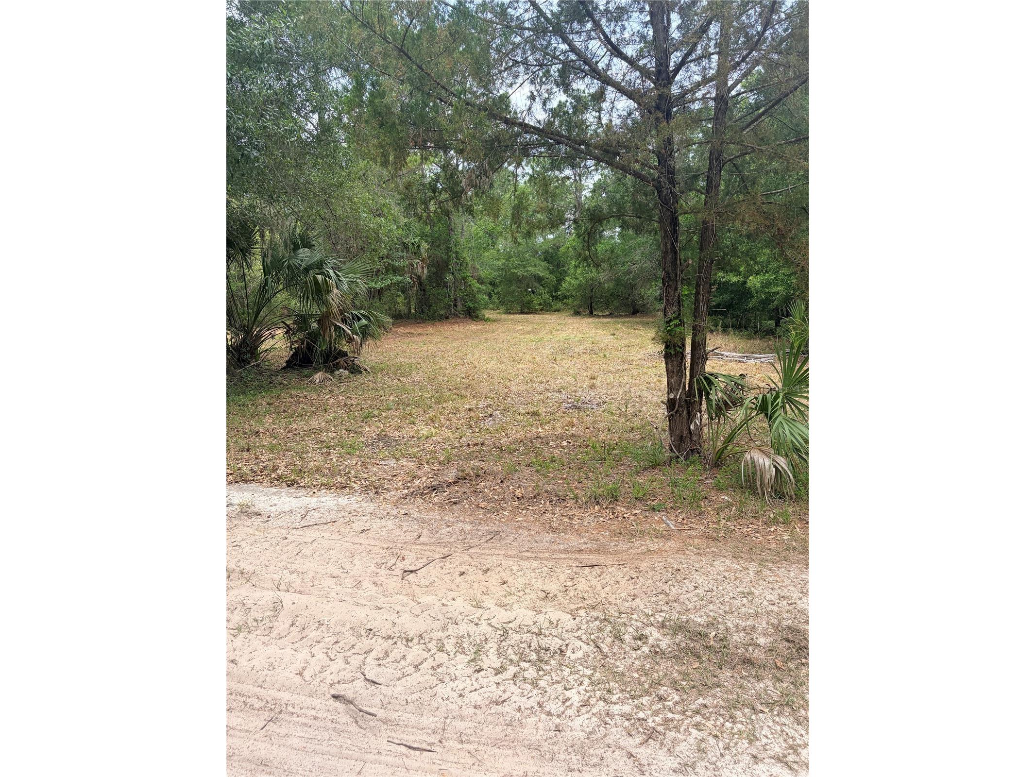 8744 W Oak Street Crystal River FL 34428 TB8509340 image12