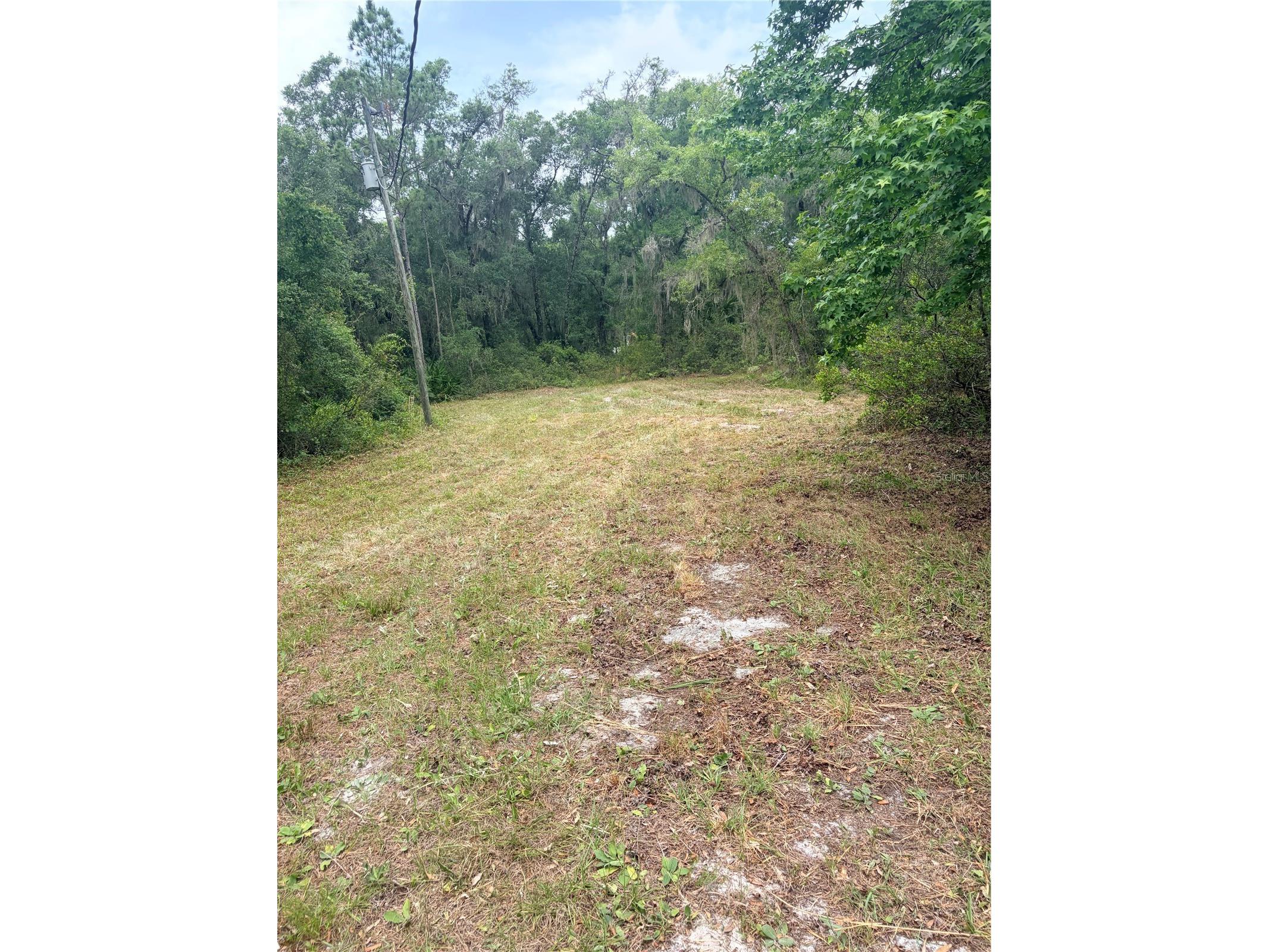 8744 W Oak Street Crystal River FL 34428 TB8509340 image14
