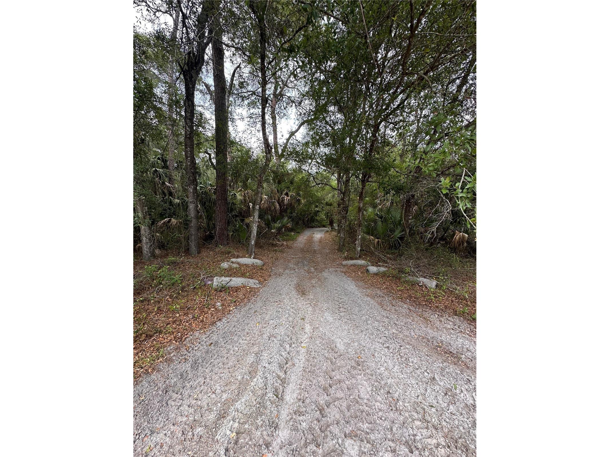 8744 W Oak Street Crystal River FL 34428 TB8509340 image16