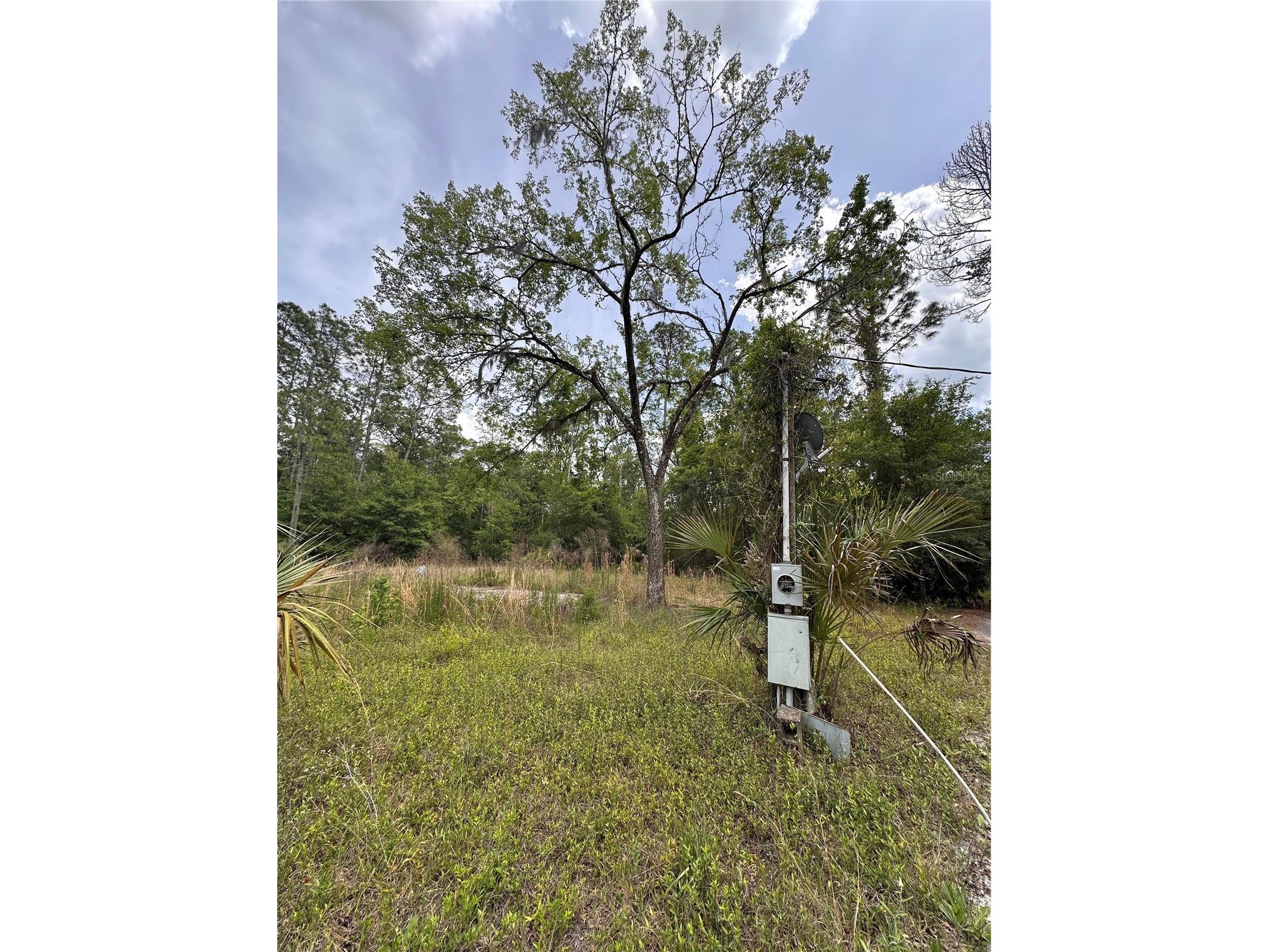 8744 W Oak Street Crystal River FL 34428 TB8509340 image18