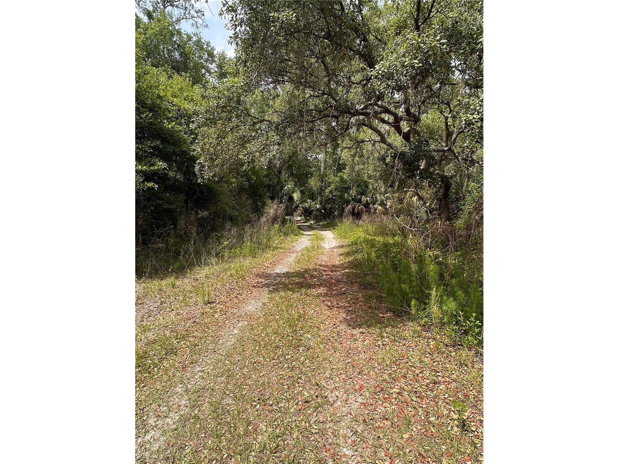 8744 W Oak Street Crystal River FL 34428 TB8509340 image19