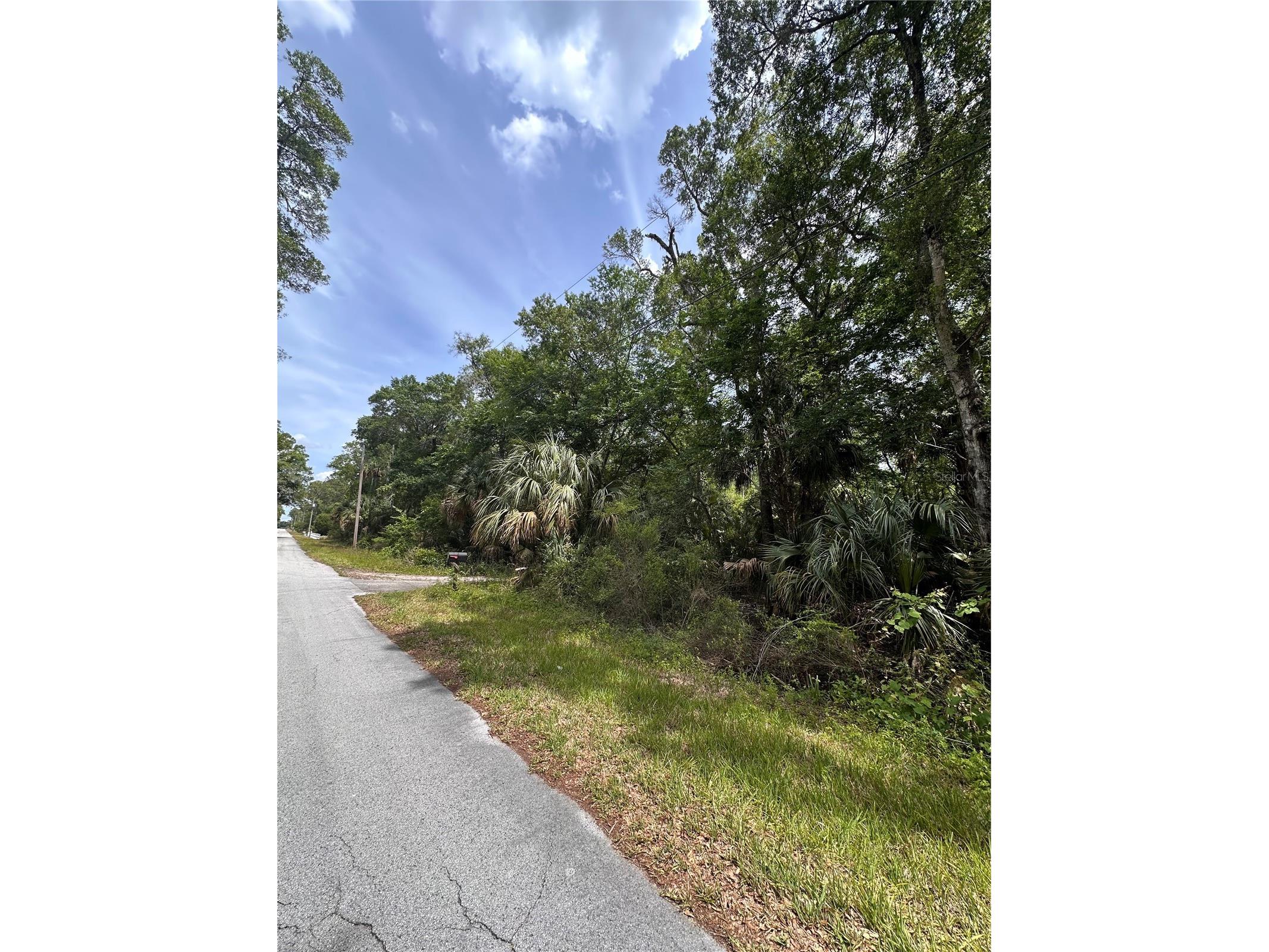 8744 W Oak Street Crystal River FL 34428 TB8509340 image6