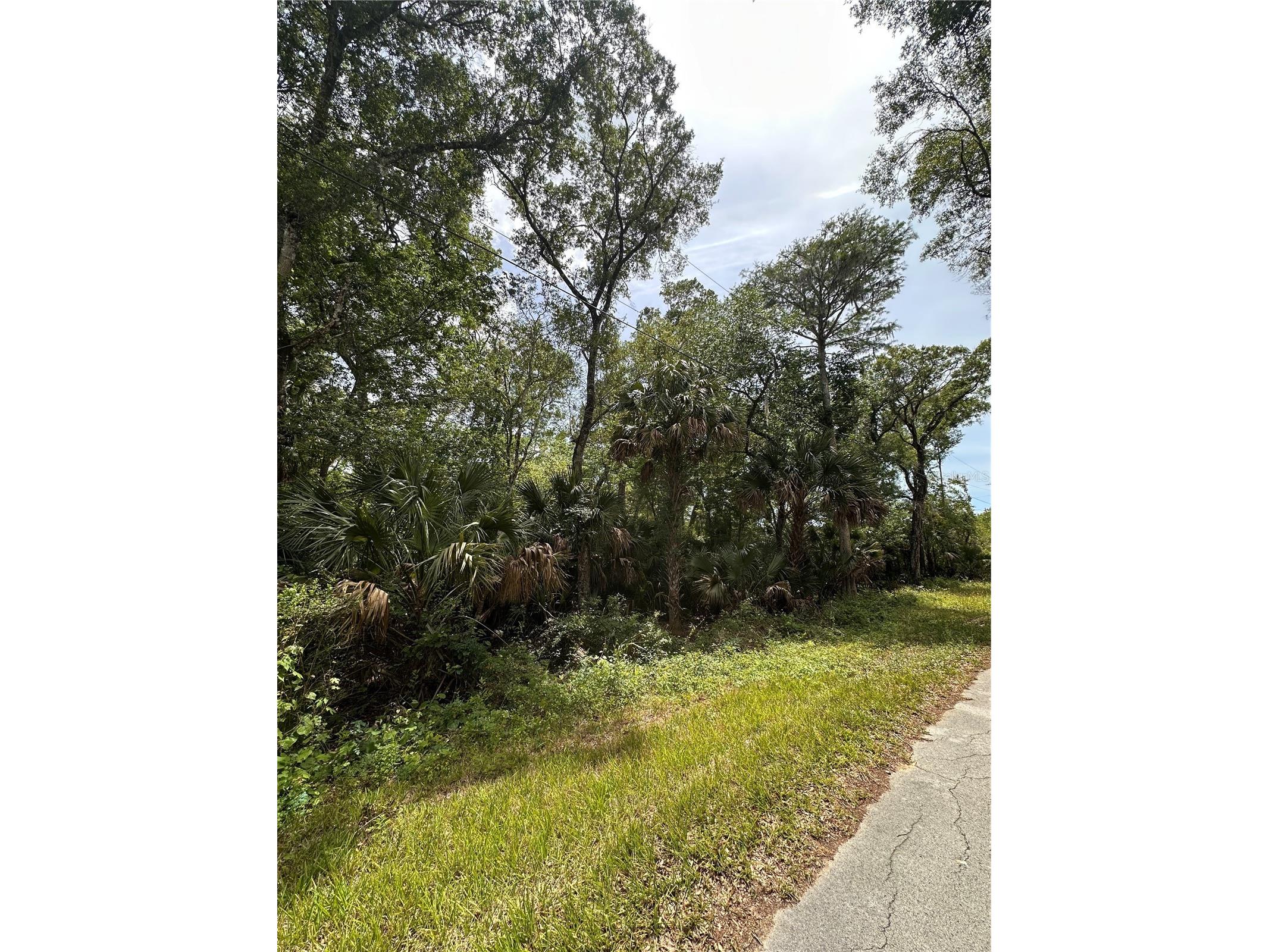 8744 W Oak Street Crystal River FL 34428 TB8509340 image7