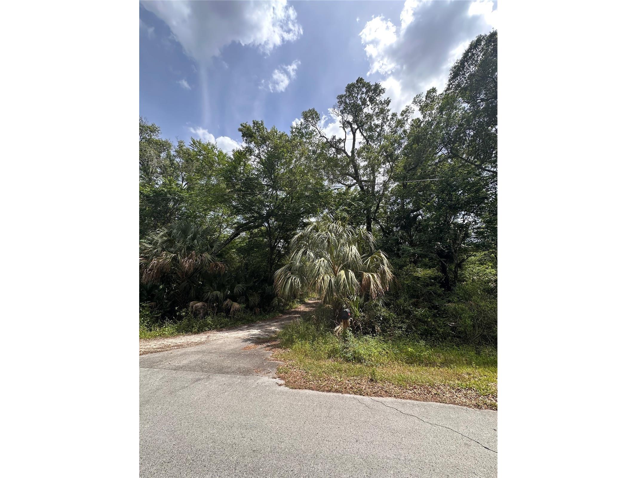 8744 W Oak Street Crystal River FL 34428 TB8509340 image8