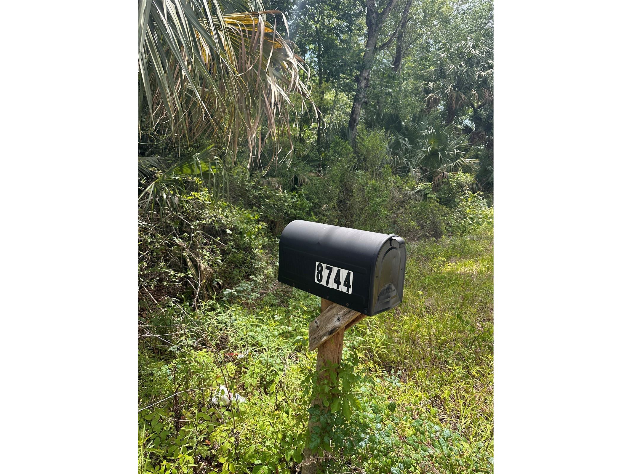 8744 W Oak Street Crystal River FL 34428 TB8509340 image9