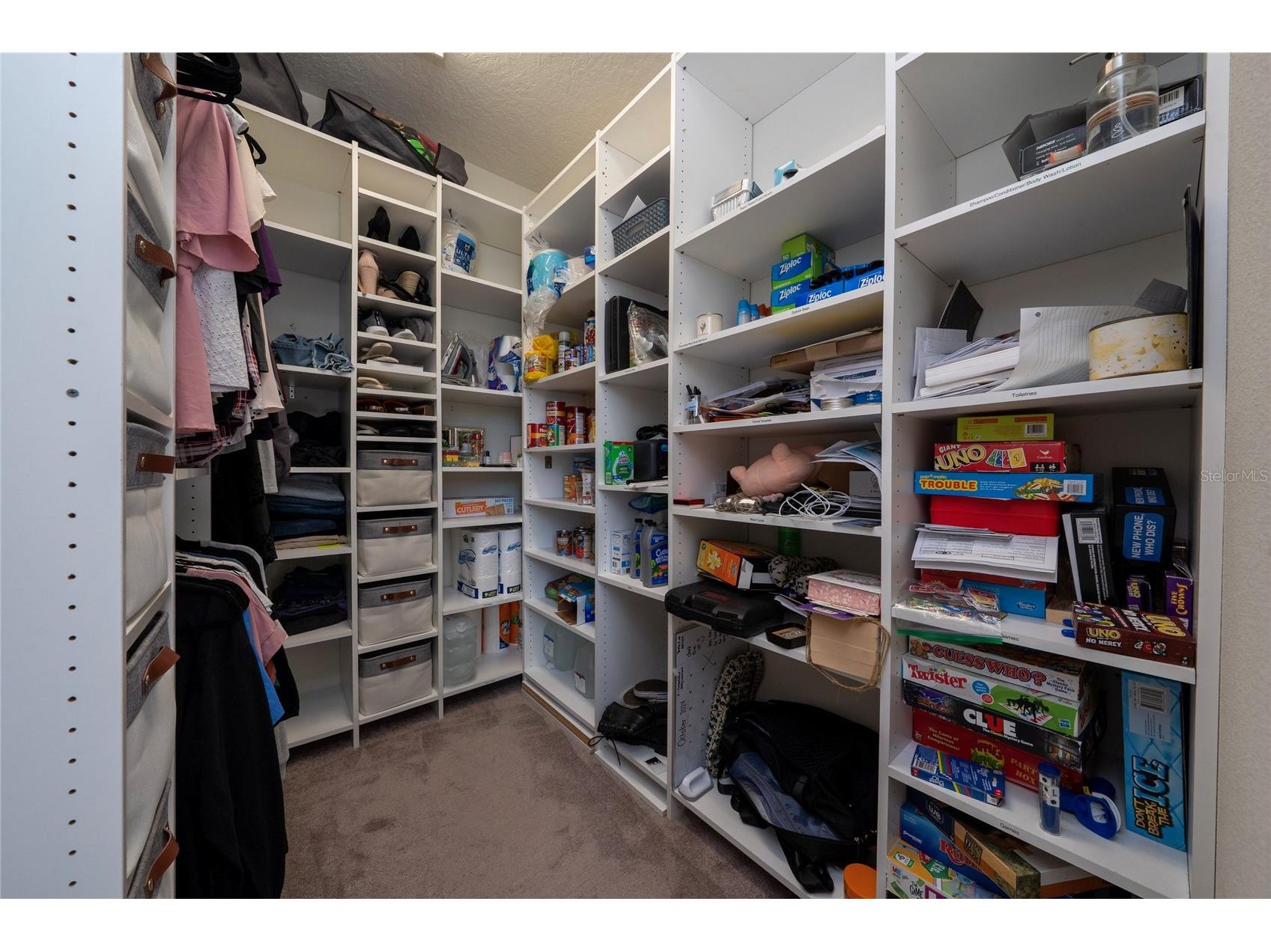 8746 Conoy Avenue Polk City FL 33868 O6401107 image33