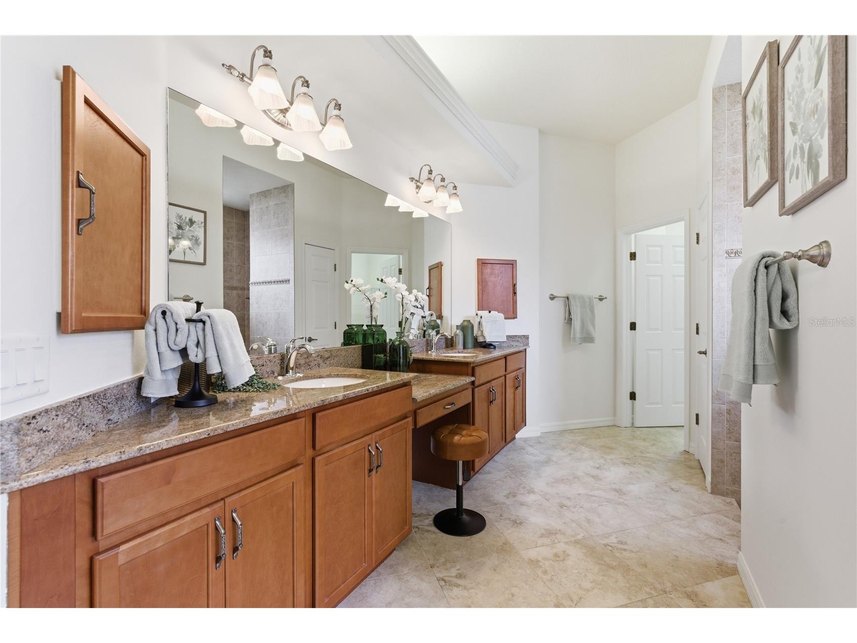 8747 Bonica Place Land O Lakes FL 34637 TB8505603 image37