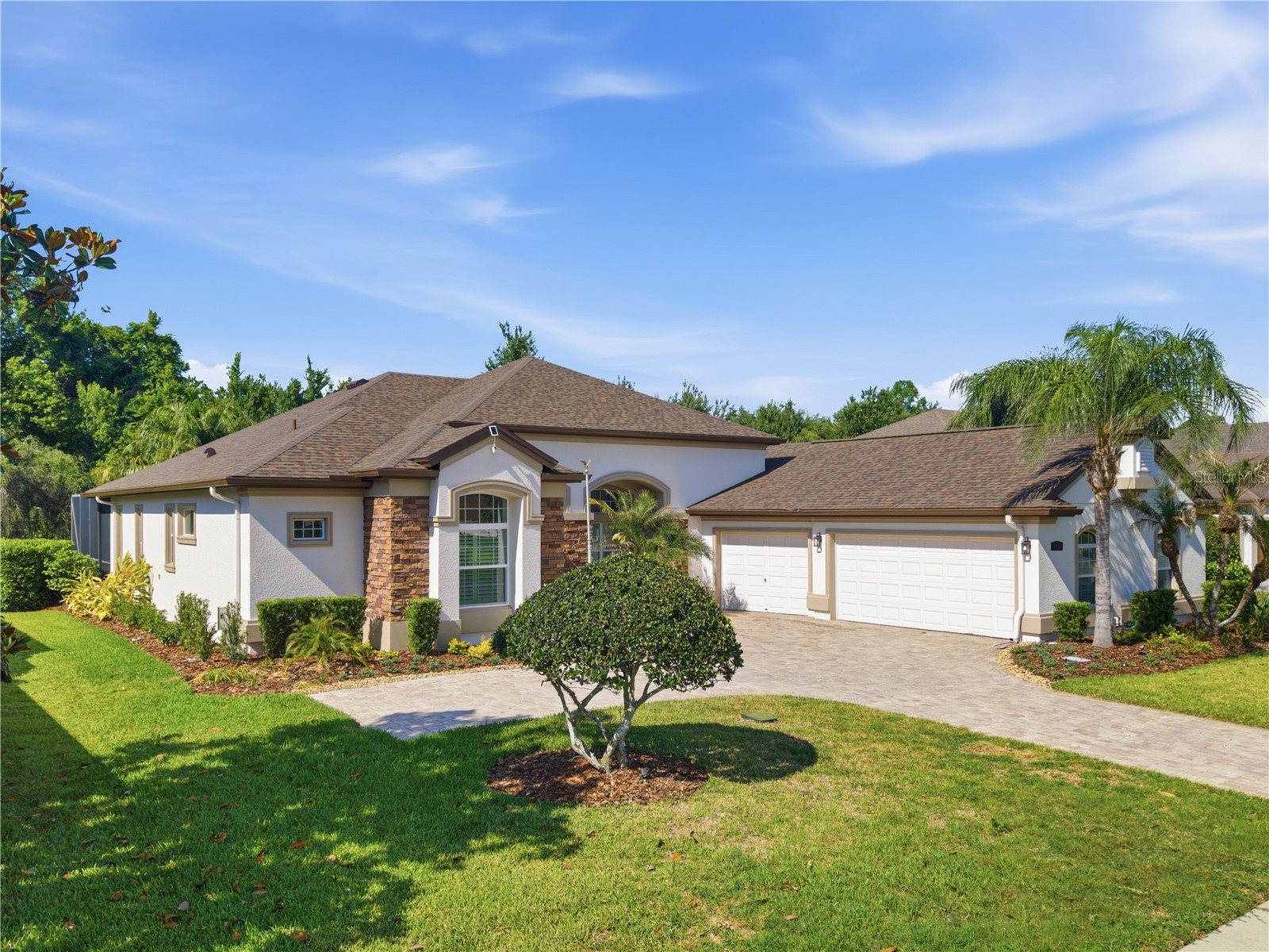 8747 Bonica Place Land O Lakes FL 34637 TB8505603 image4