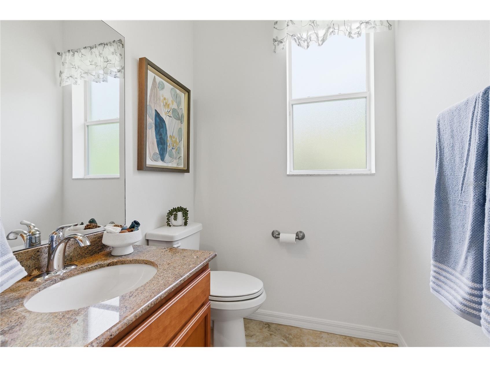 8747 Bonica Place Land O Lakes FL 34637 TB8505603 image44
