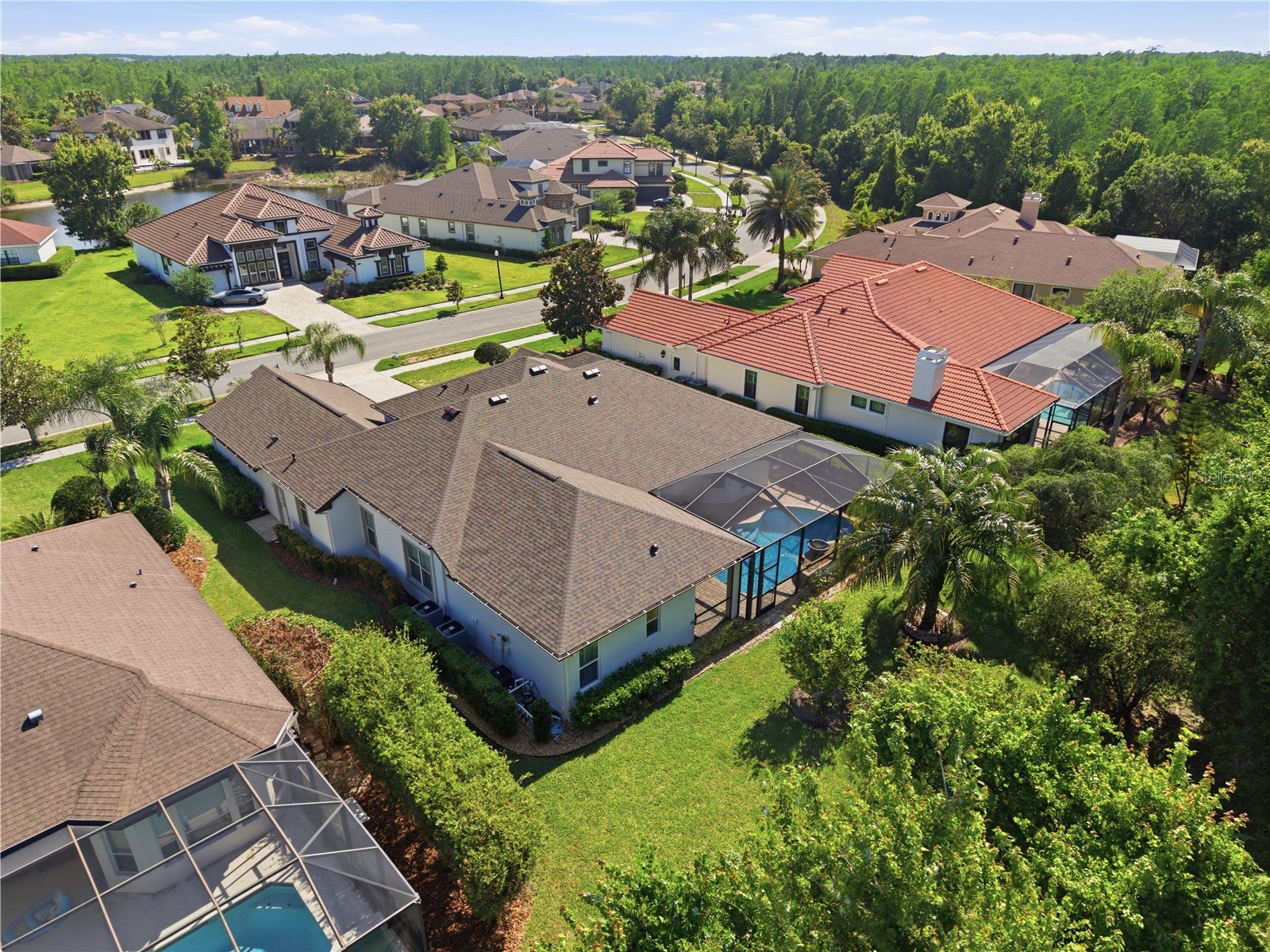8747 Bonica Place Land O Lakes FL 34637 TB8505603 image53