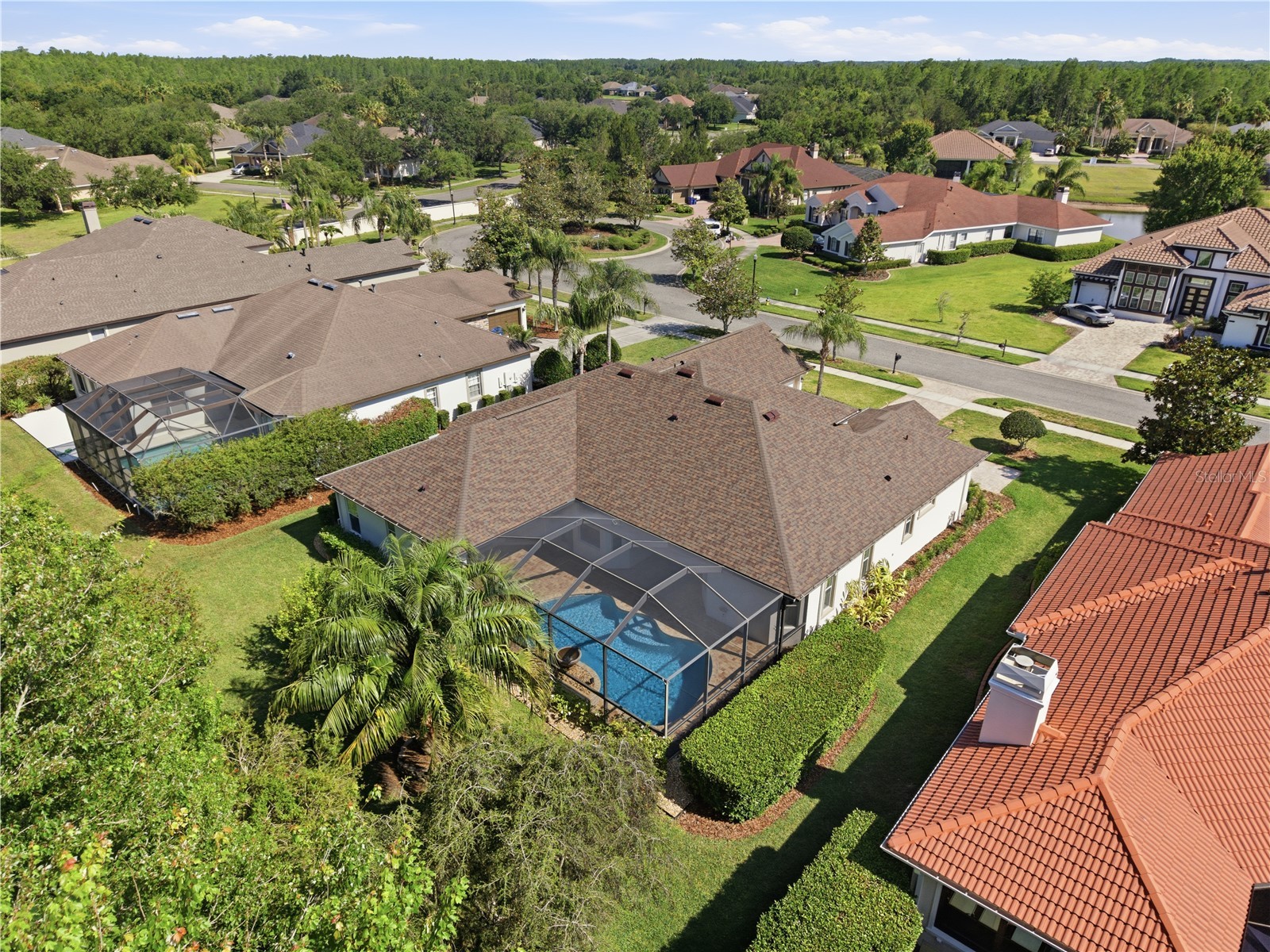 8747 Bonica Place Land O Lakes FL 34637 TB8505603 image55