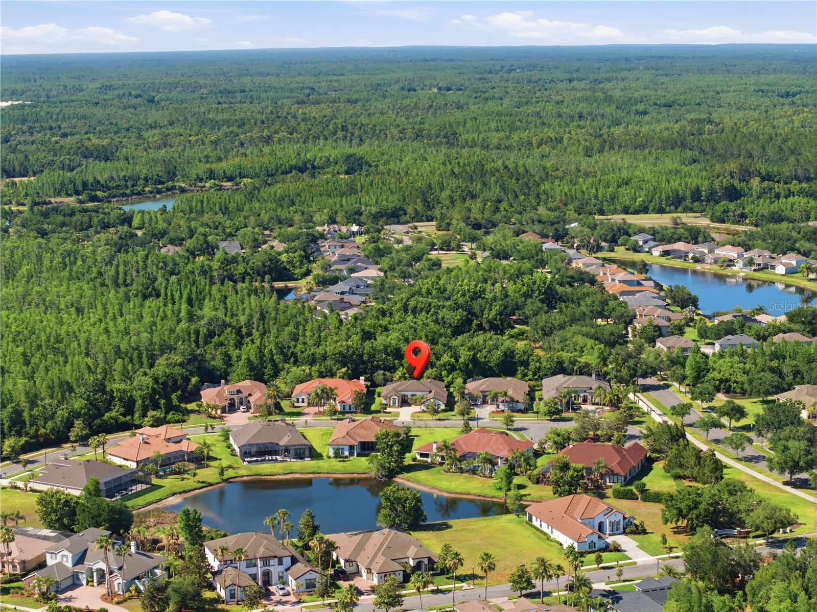 8747 Bonica Place Land O Lakes FL 34637 TB8505603 image56