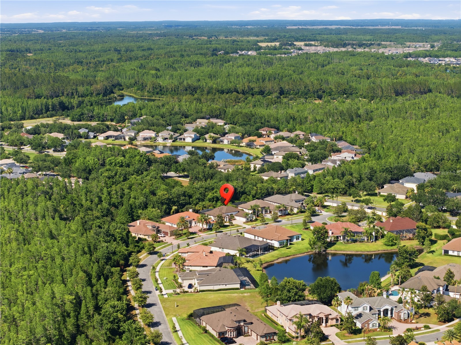 8747 Bonica Place Land O Lakes FL 34637 TB8505603 image57
