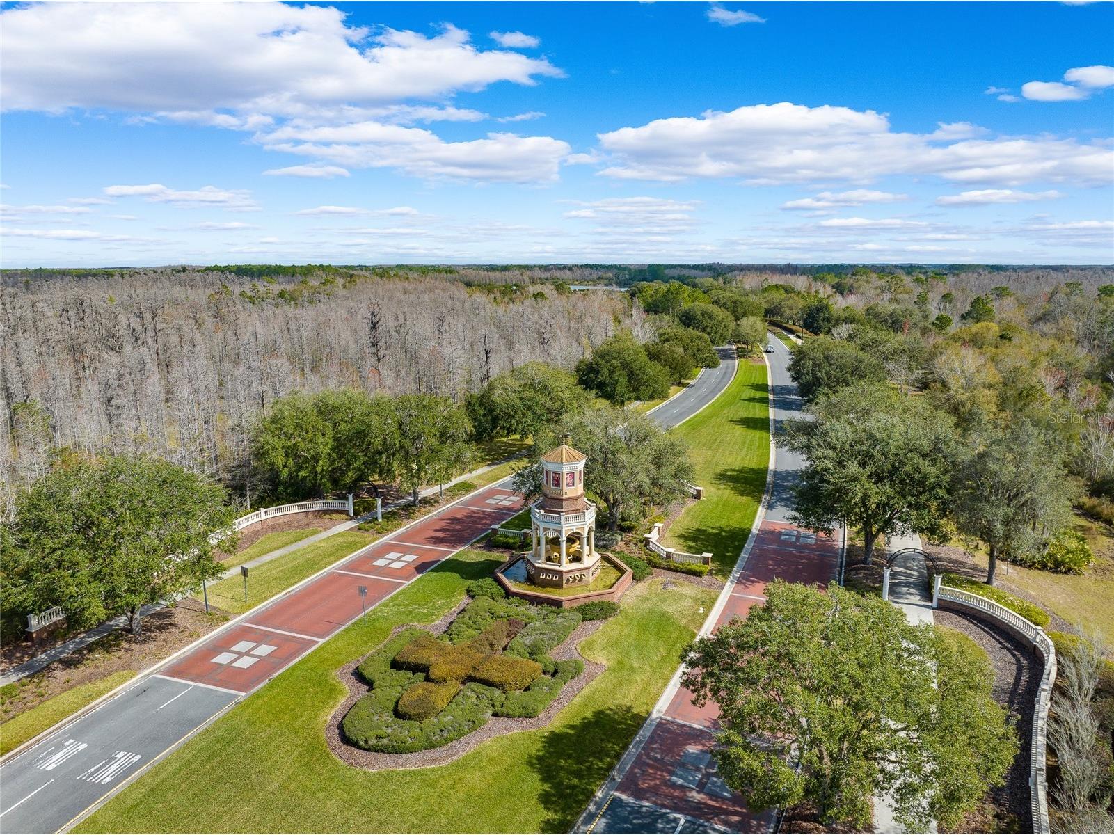 8747 Bonica Place Land O Lakes FL 34637 TB8505603 image59
