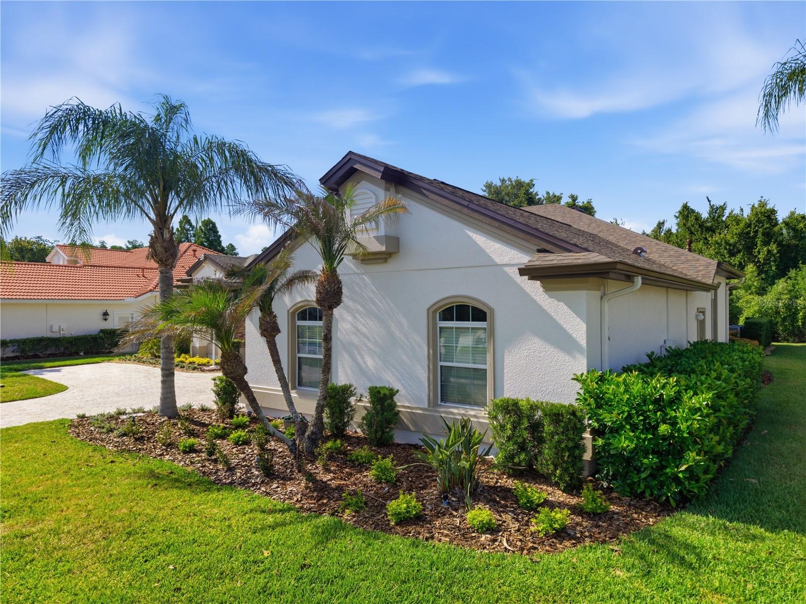 8747 Bonica Place Land O Lakes FL 34637 TB8505603 image6