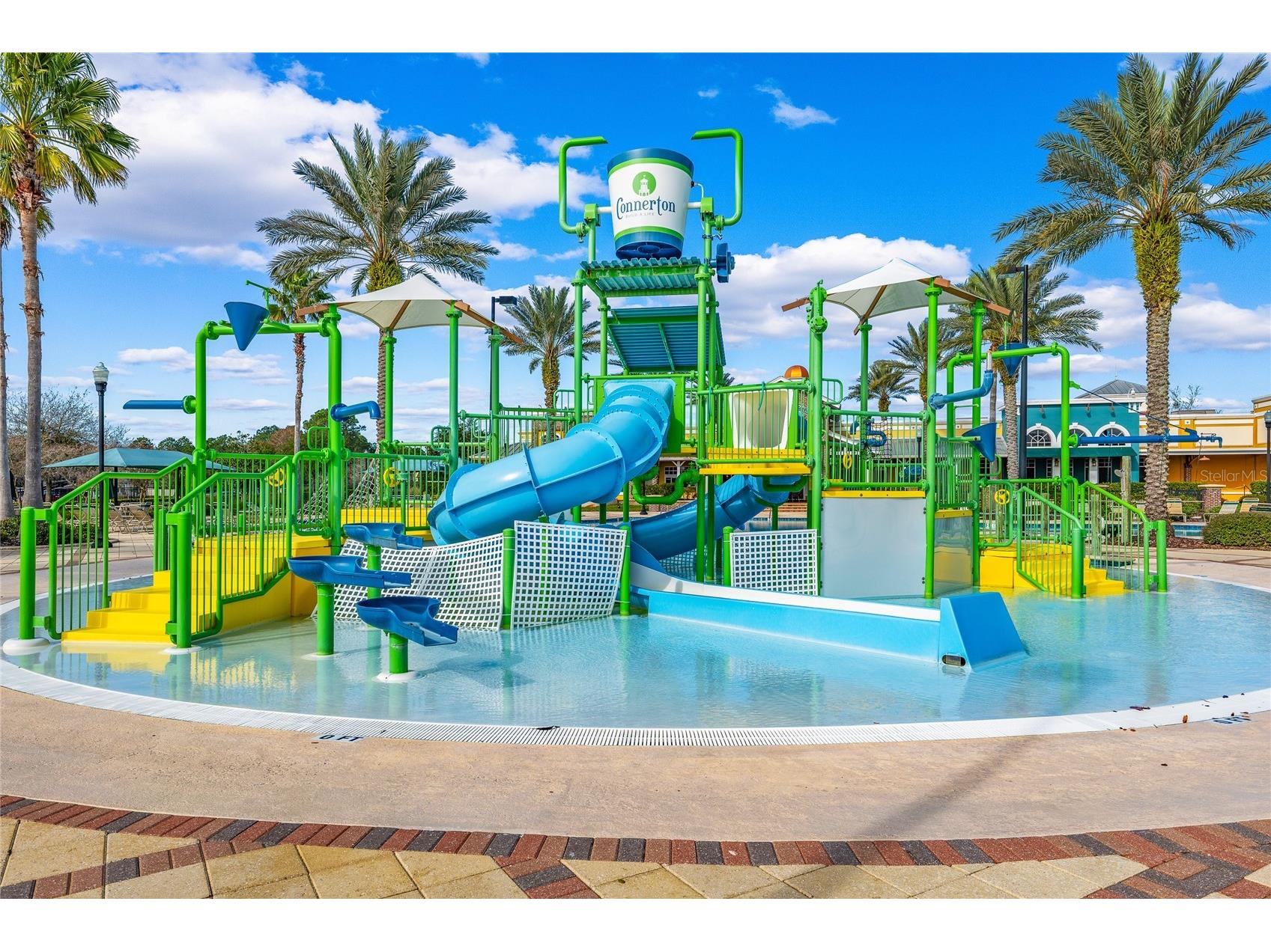 8747 Bonica Place Land O Lakes FL 34637 TB8505603 image61