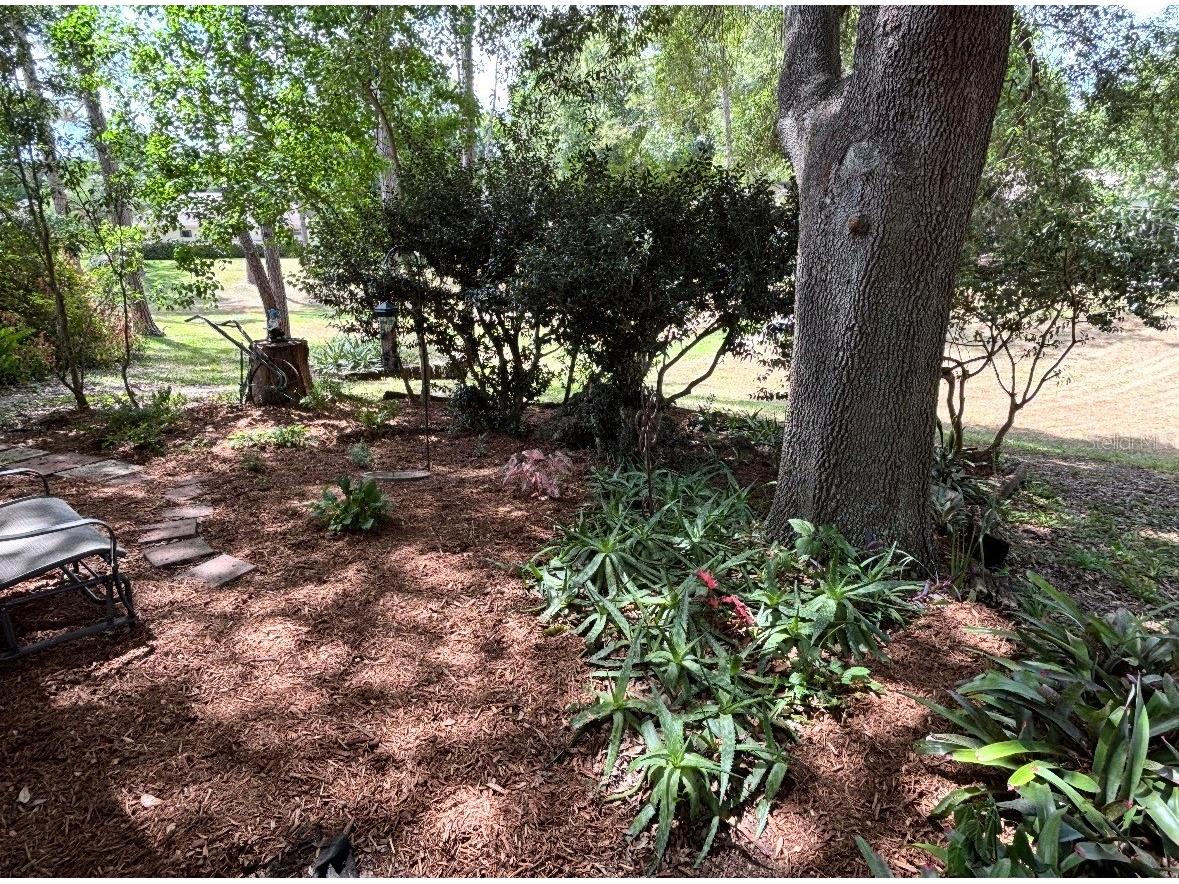 8747 SW 93rd Place #C Ocala FL 34481 OM716222 image24