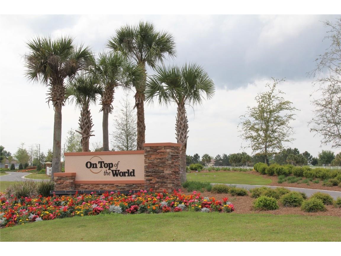 8747 SW 98th Street Road #F Ocala FL 34481 OM700350 image28