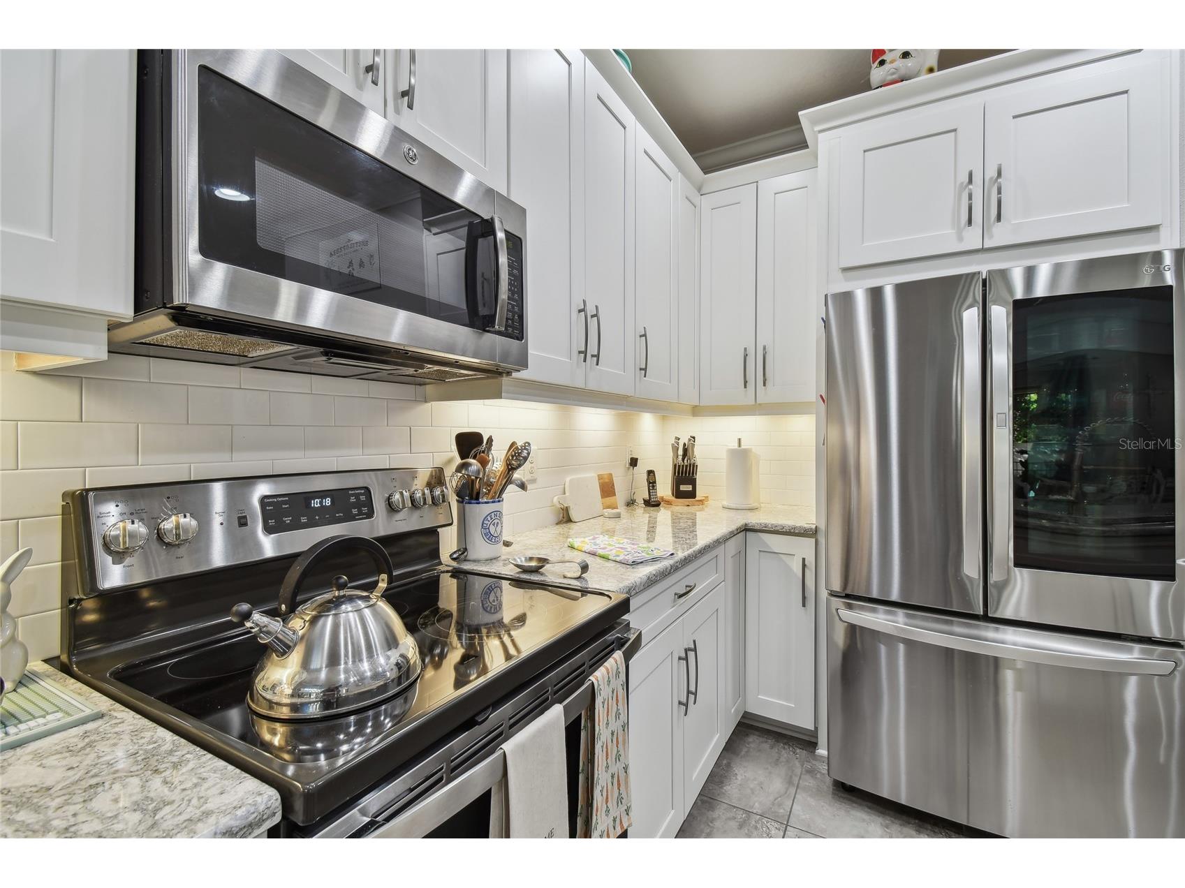 8747 Terracina Lake Drive Tampa FL 33625 TB8418661 image13