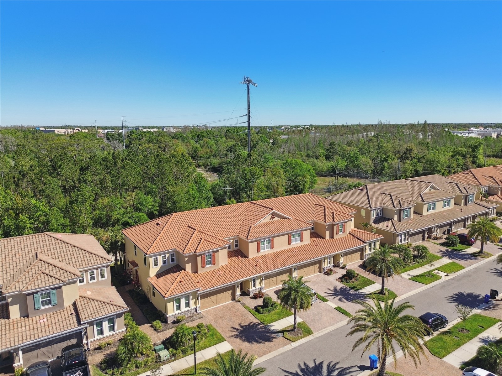 8747 Terracina Lake Drive Tampa FL 33625 TB8418661 image53
