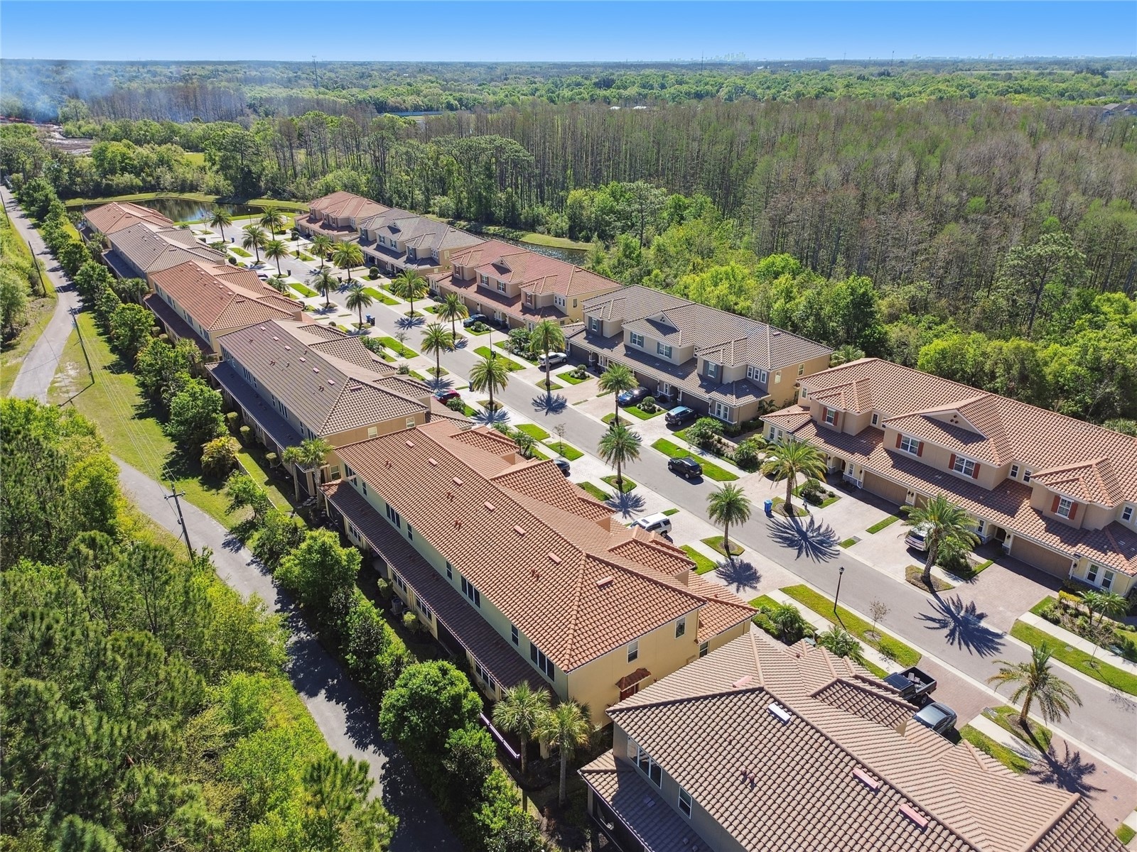 8747 Terracina Lake Drive Tampa FL 33625 TB8418661 image55