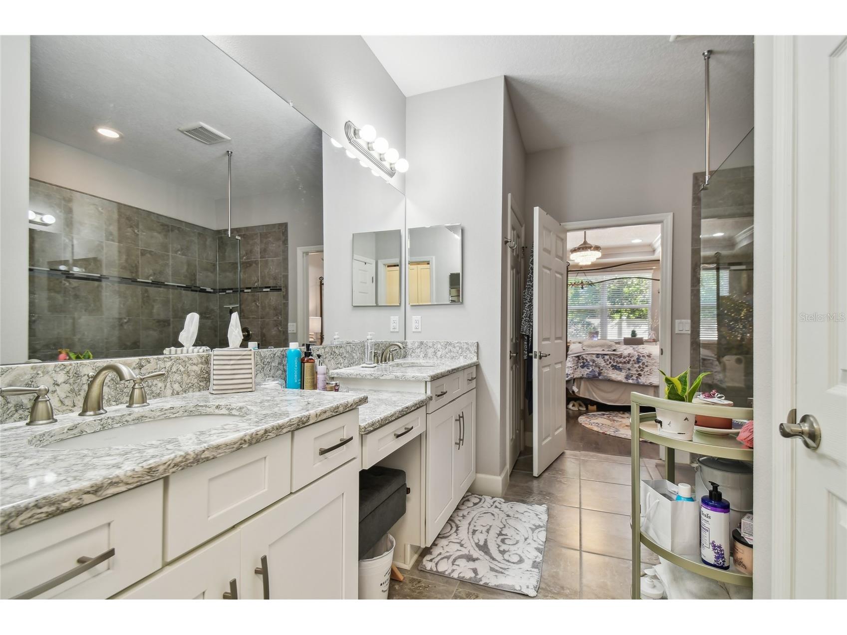 8747 Terracina Lake Drive Tampa FL 33625 TB8418661 image9