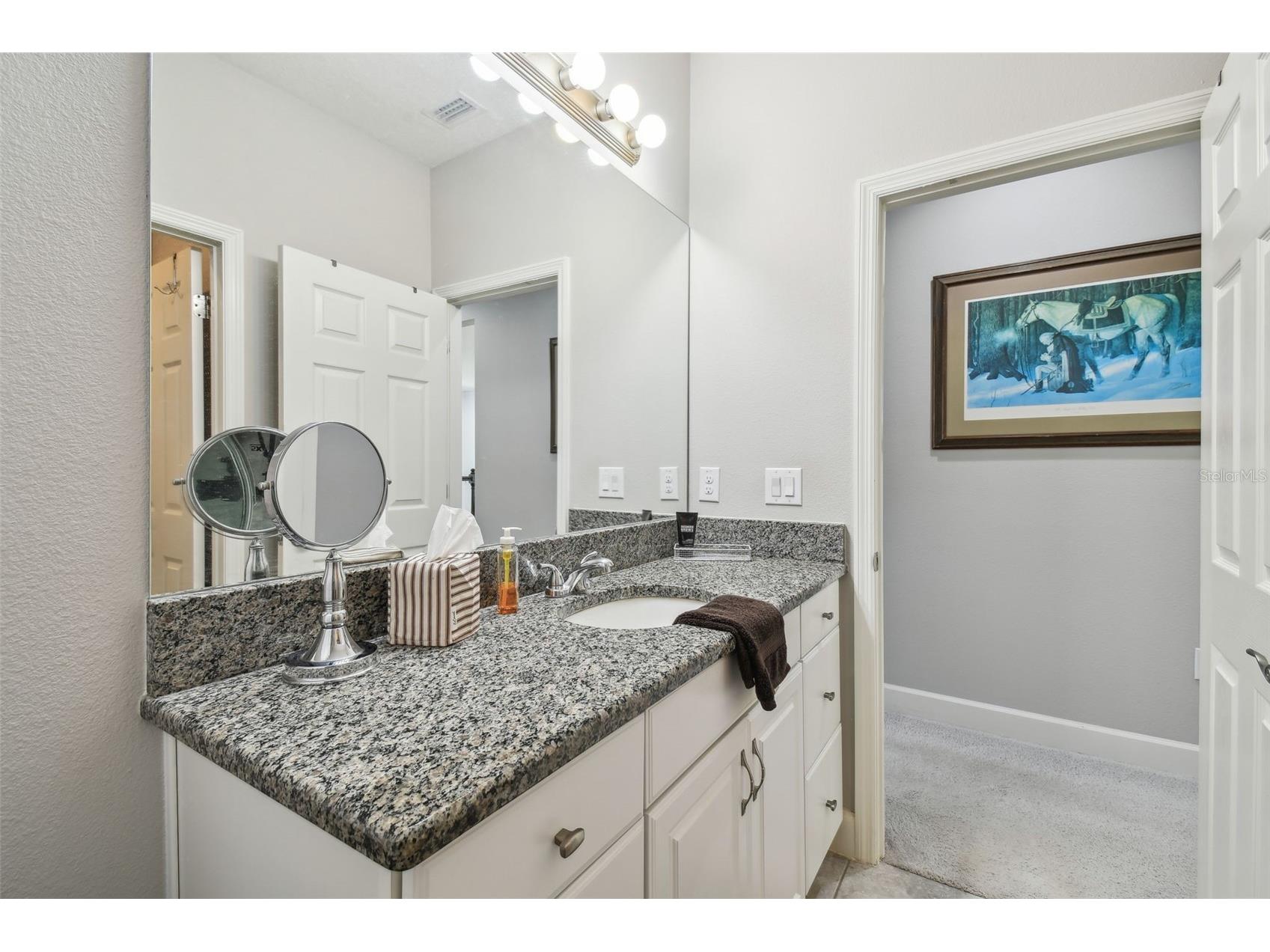8747 Terracina Lake Drive Tampa FL 33625 TB8506104 image38