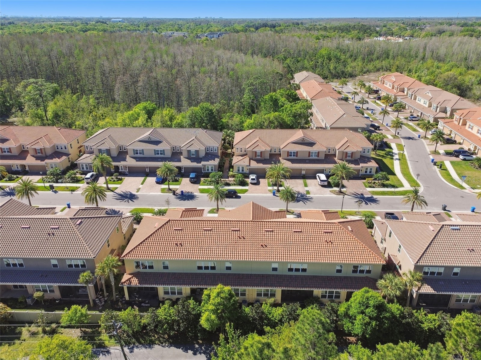 8747 Terracina Lake Drive Tampa FL 33625 TB8506104 image46