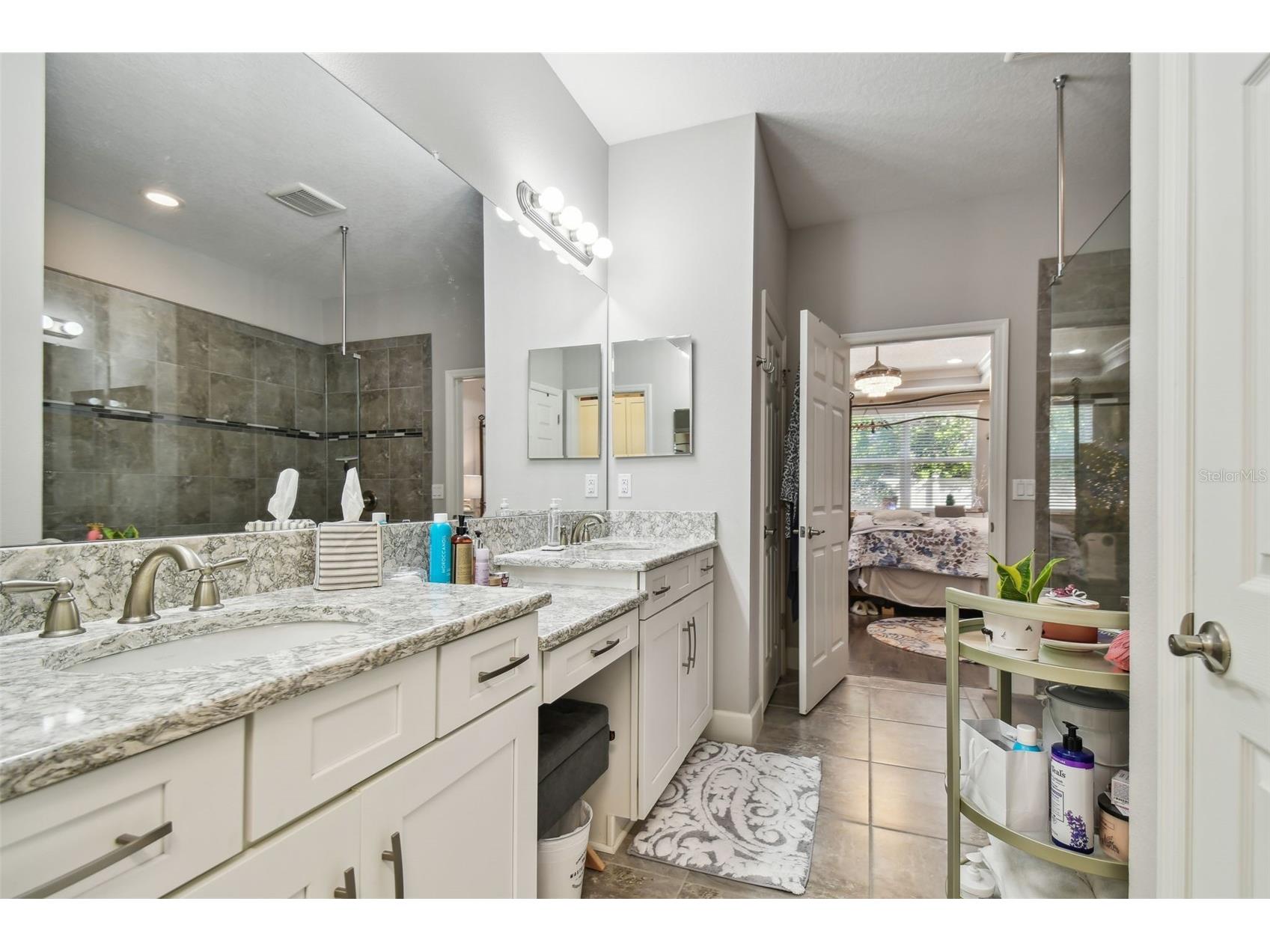 8747 Terracina Lake Drive Tampa FL 33625 TB8506104 image9