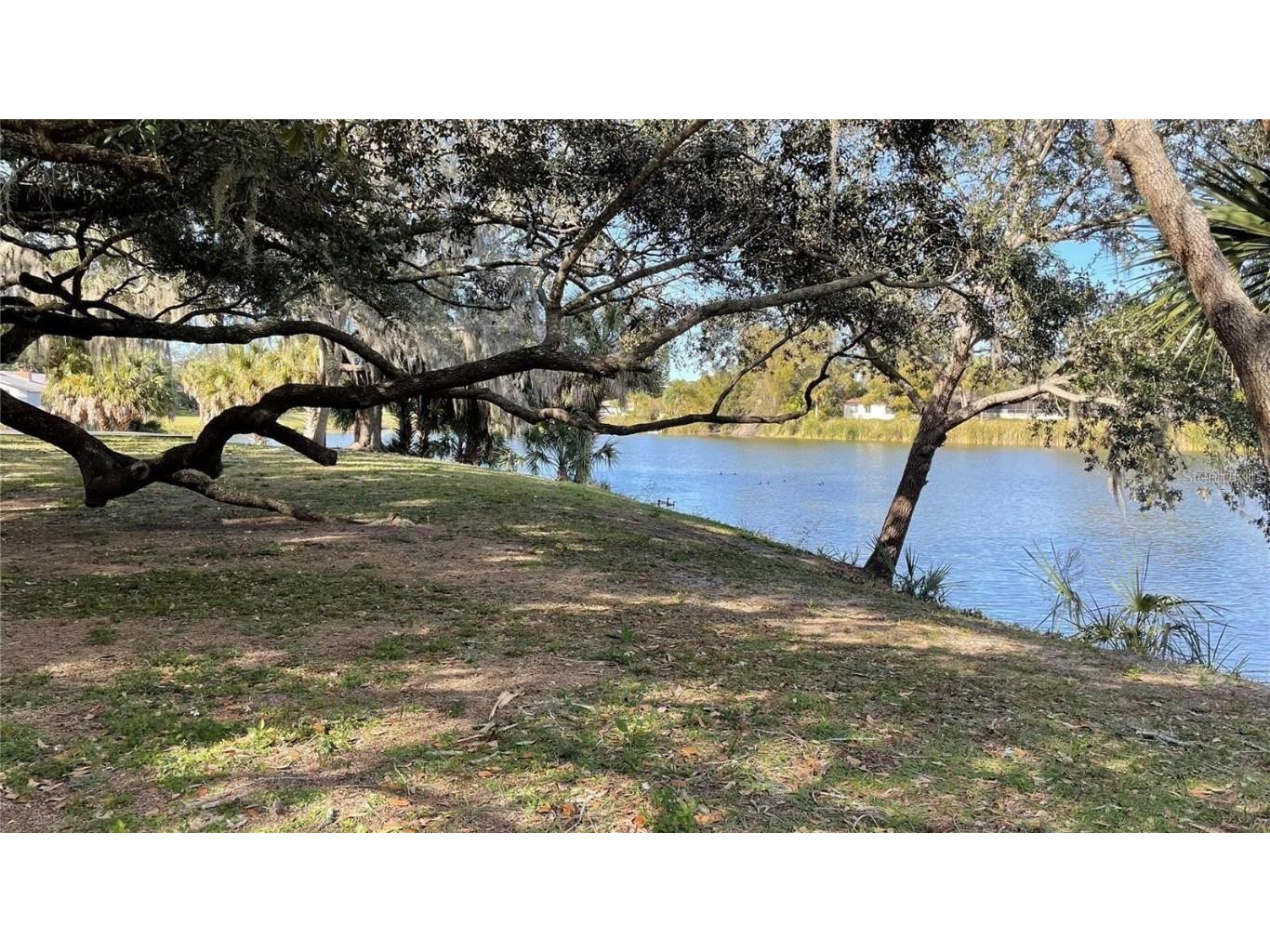 8748 Forest Lake Drive Port Richey FL 34668 TB8395090 image47