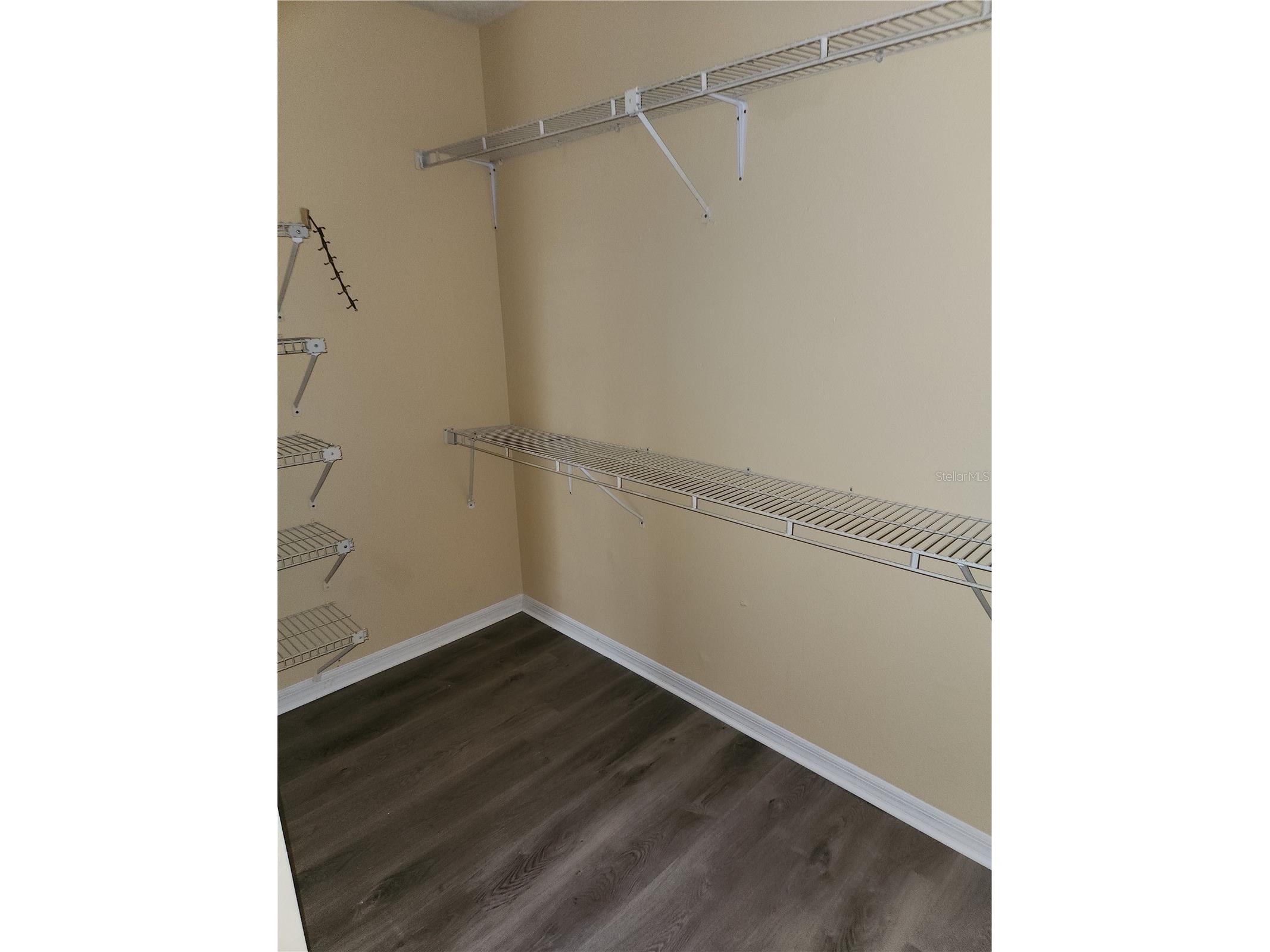 8748 Hampden Drive Tampa FL 33626 TB8483970 image10